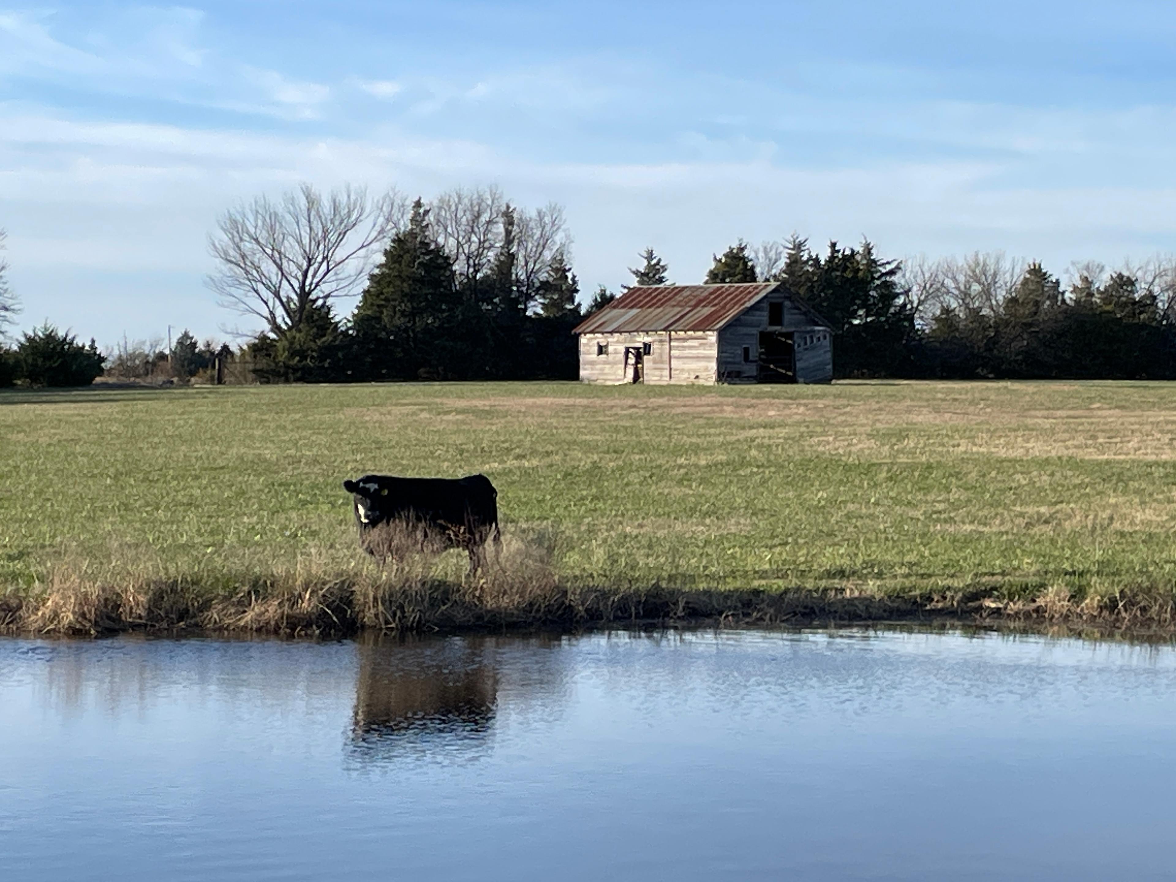 Midwest Mama Farms