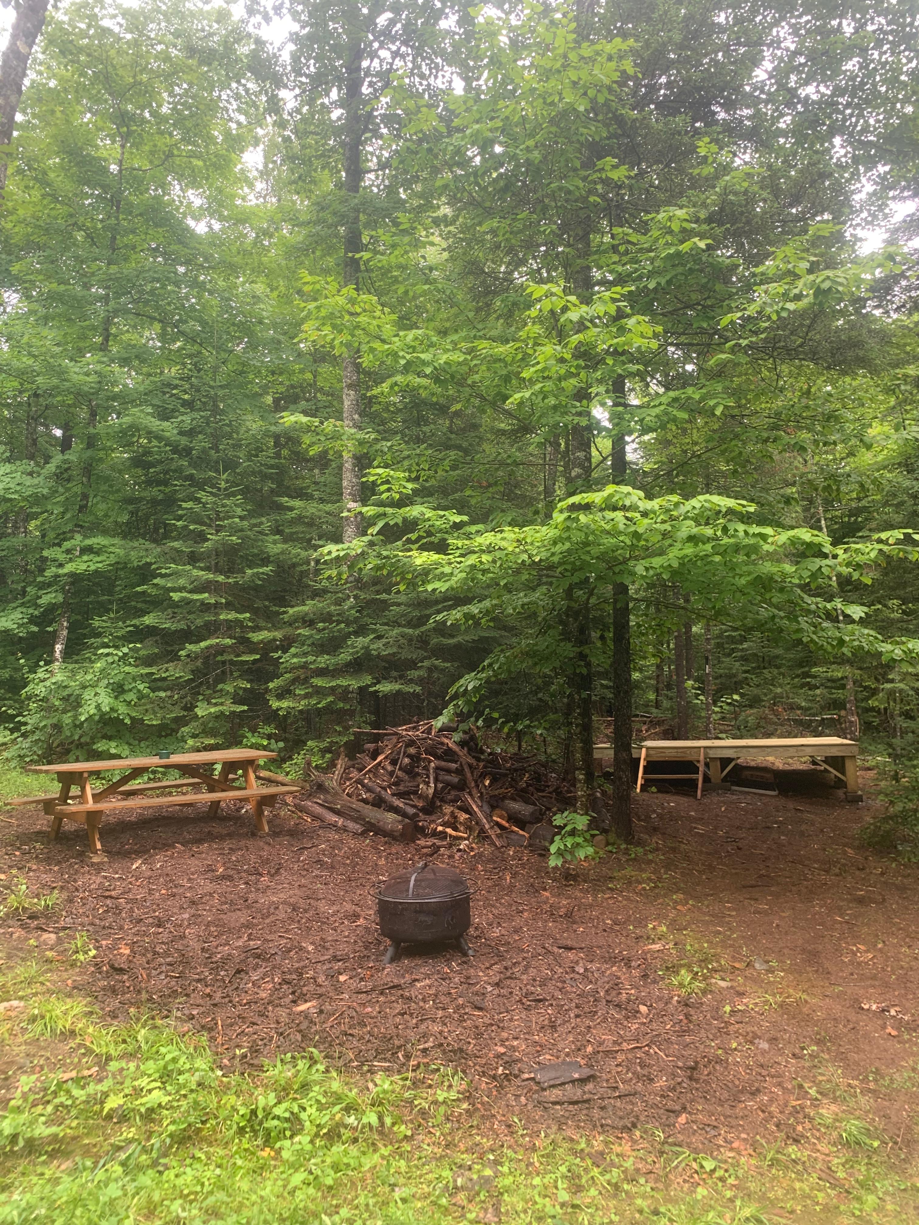 Picnic table, fire pit, and wood included! 