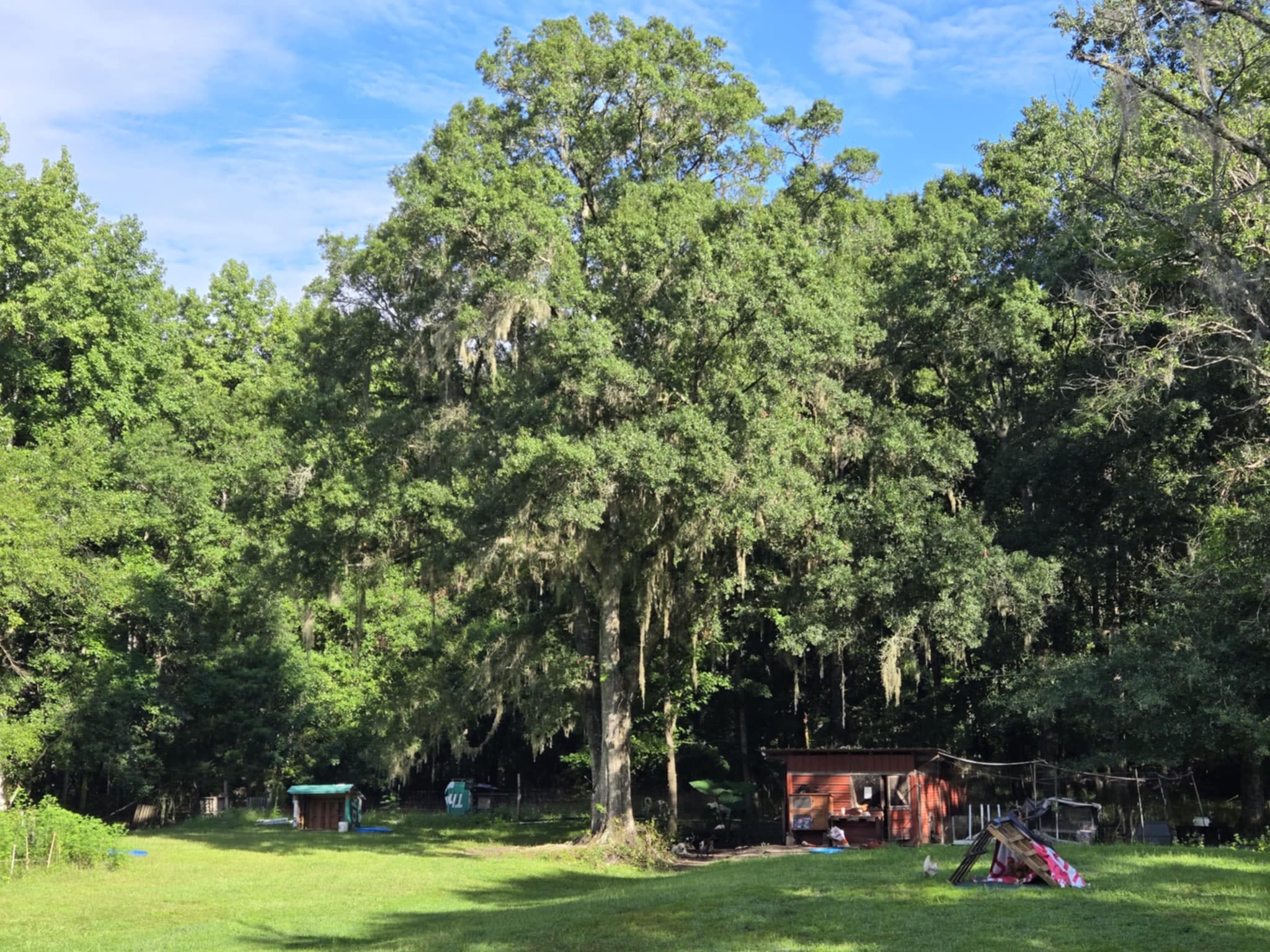 Sheehan Homestead