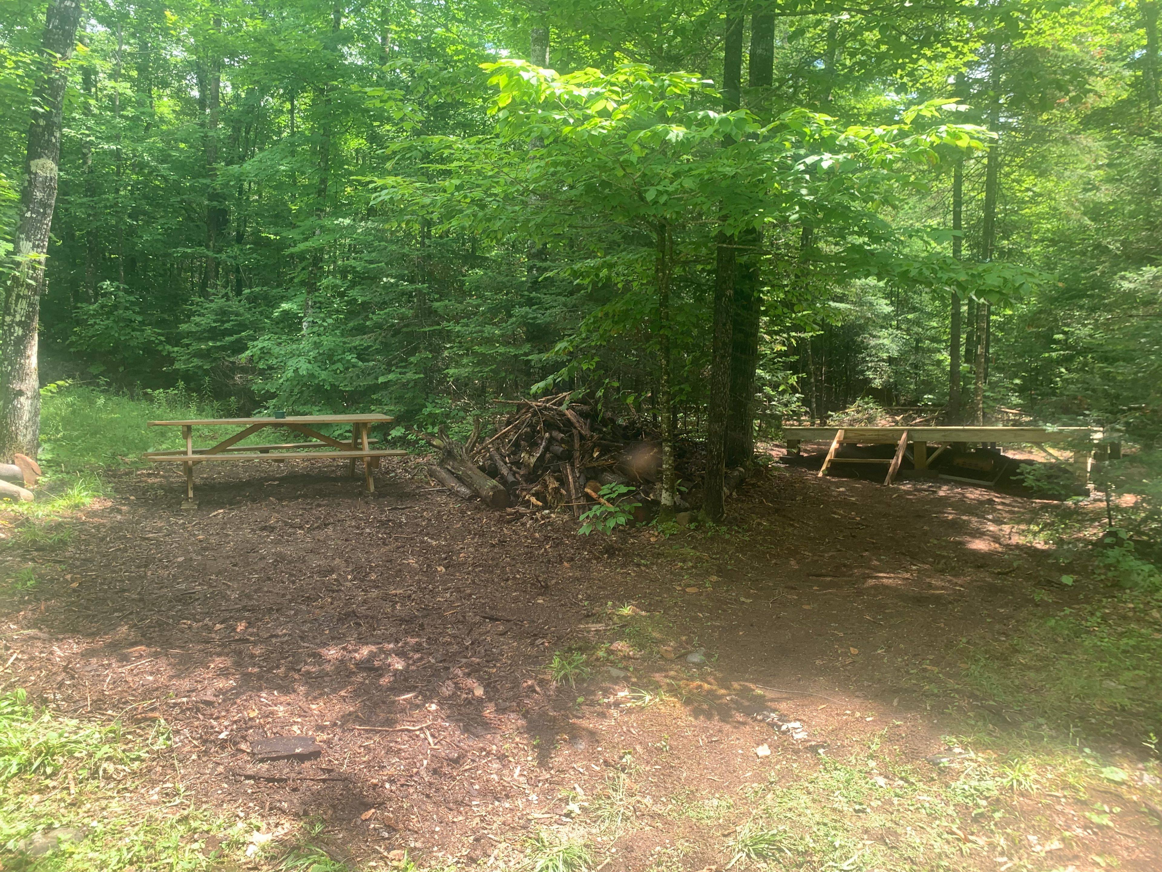 Kingfield creek camping