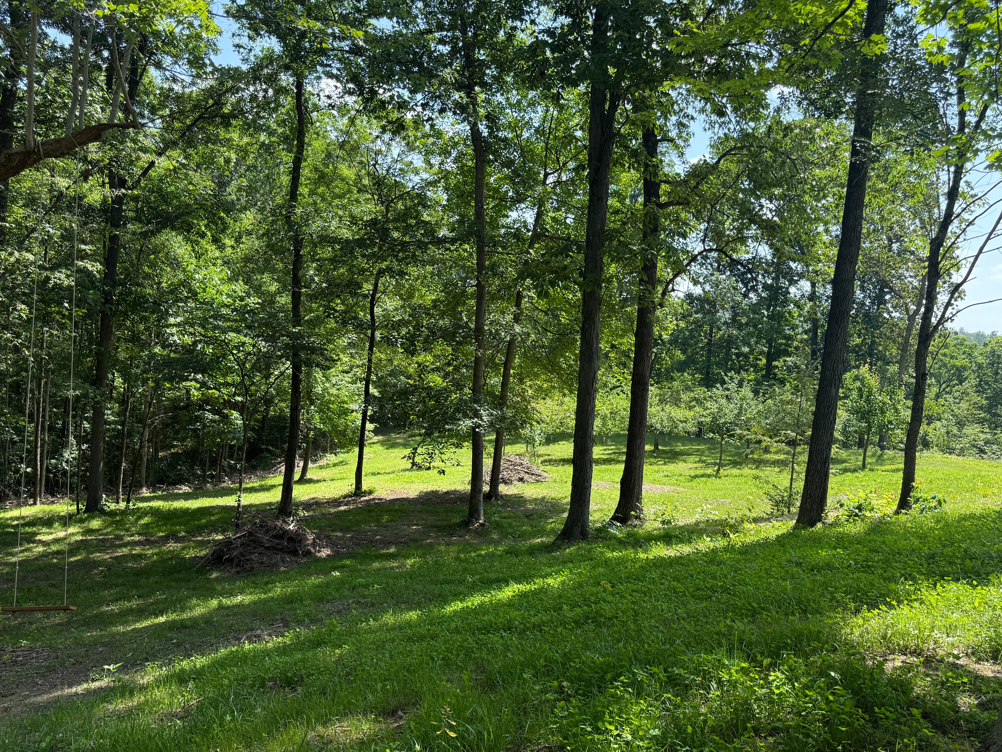 The Land