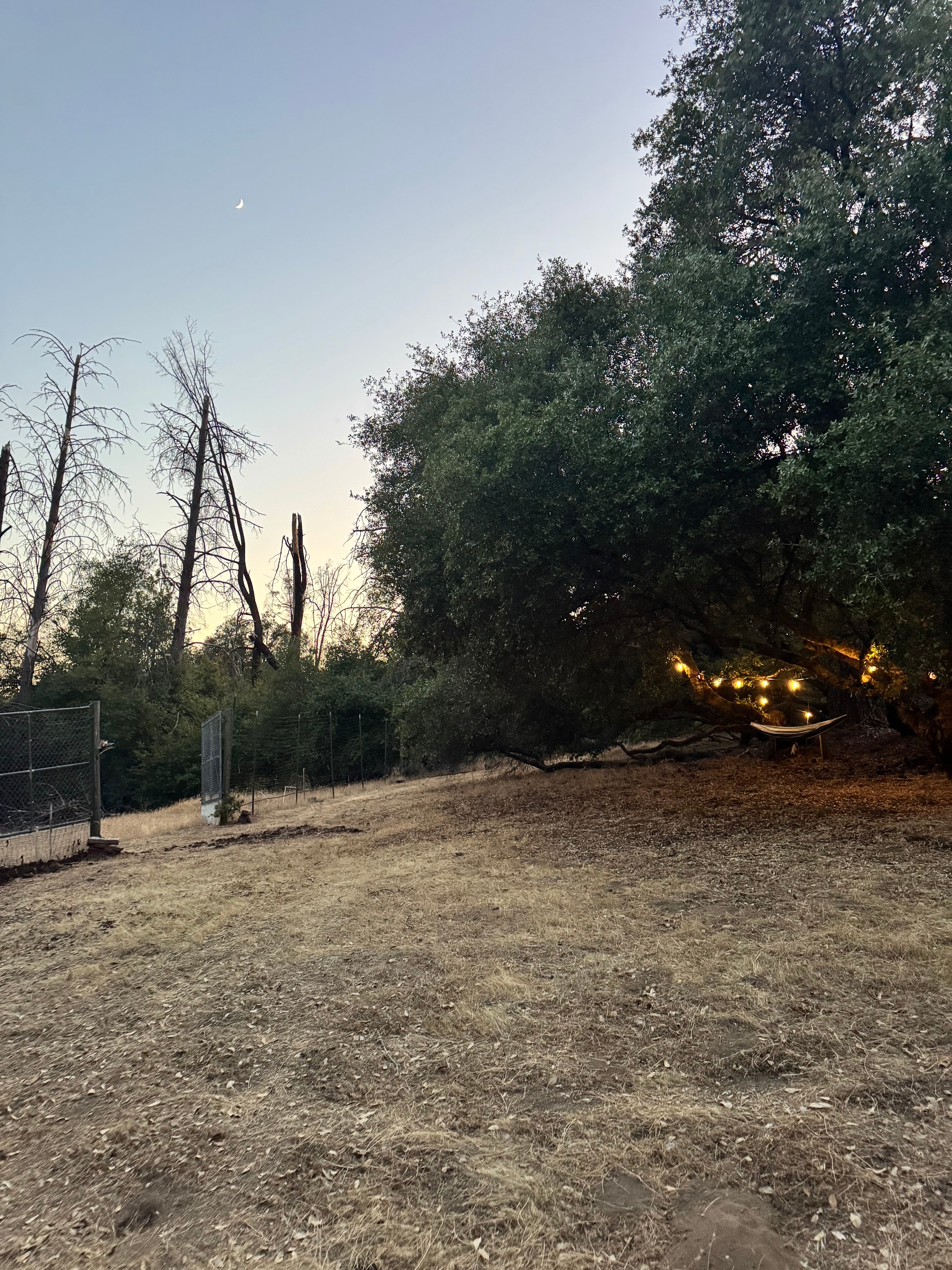 El Niños Oaks