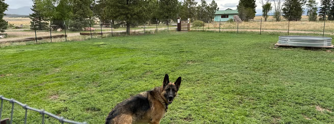 San Luis Valley Campground