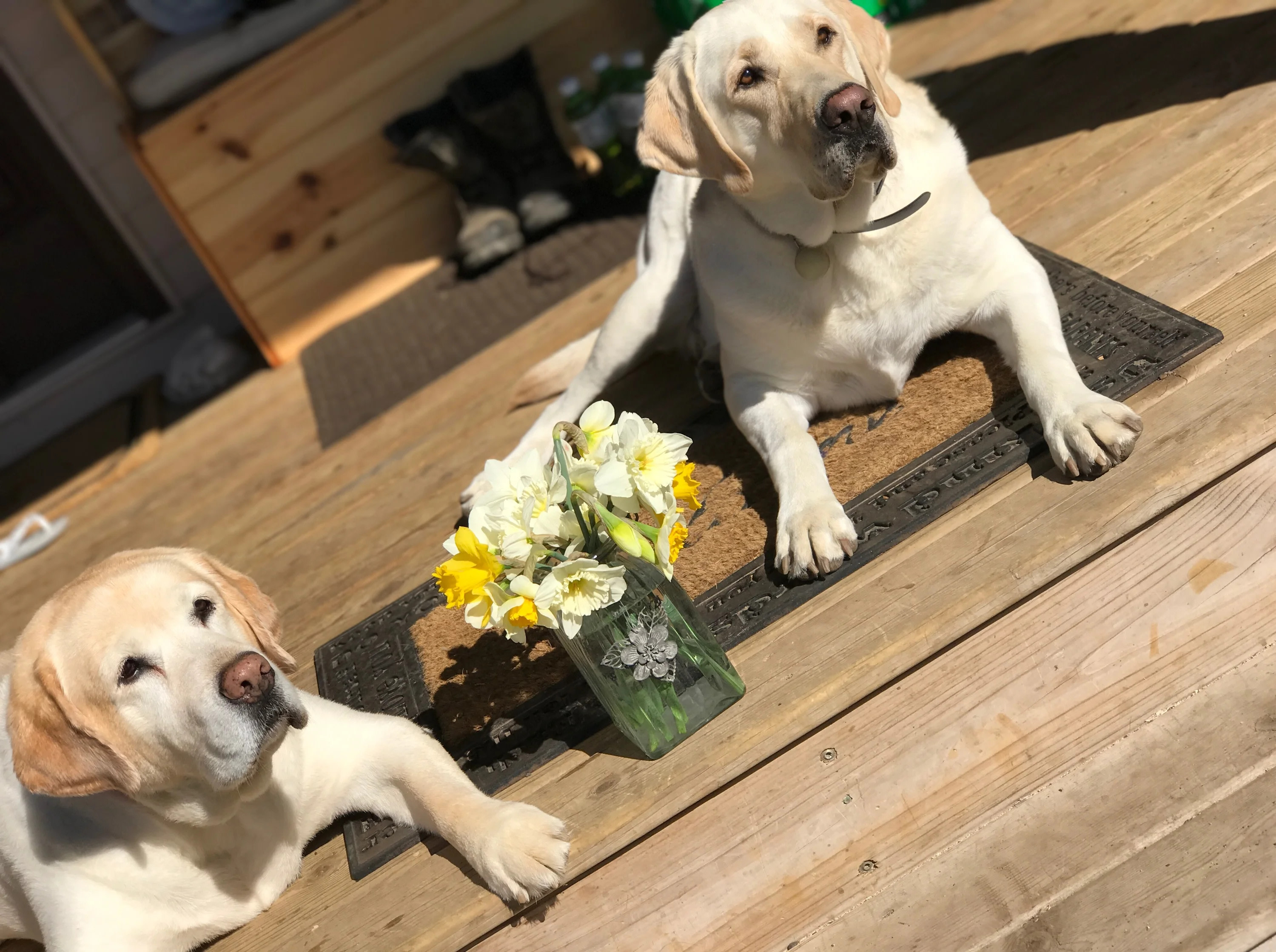 Crockery Creek RV Park