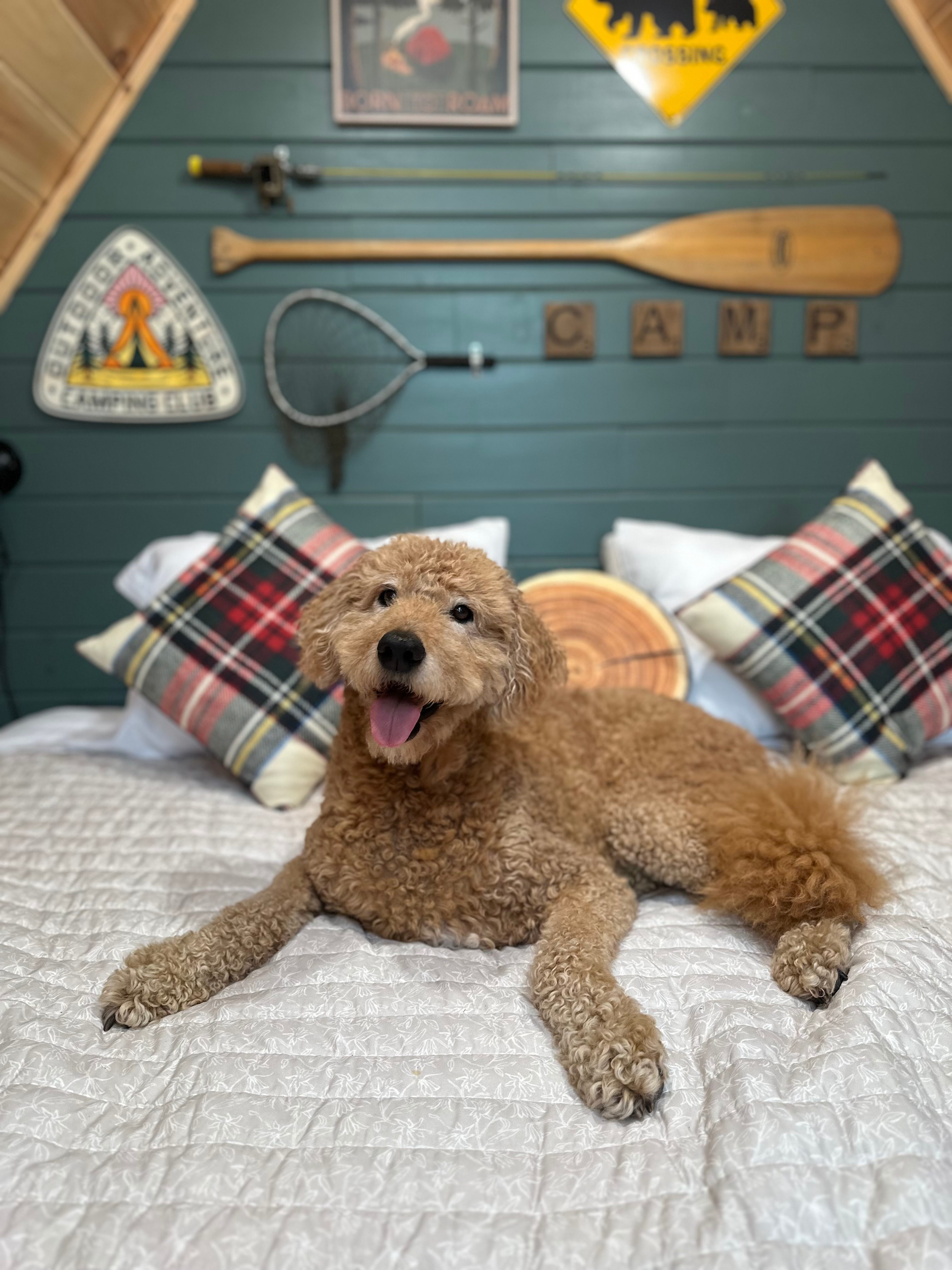 Bear Woods Resort
