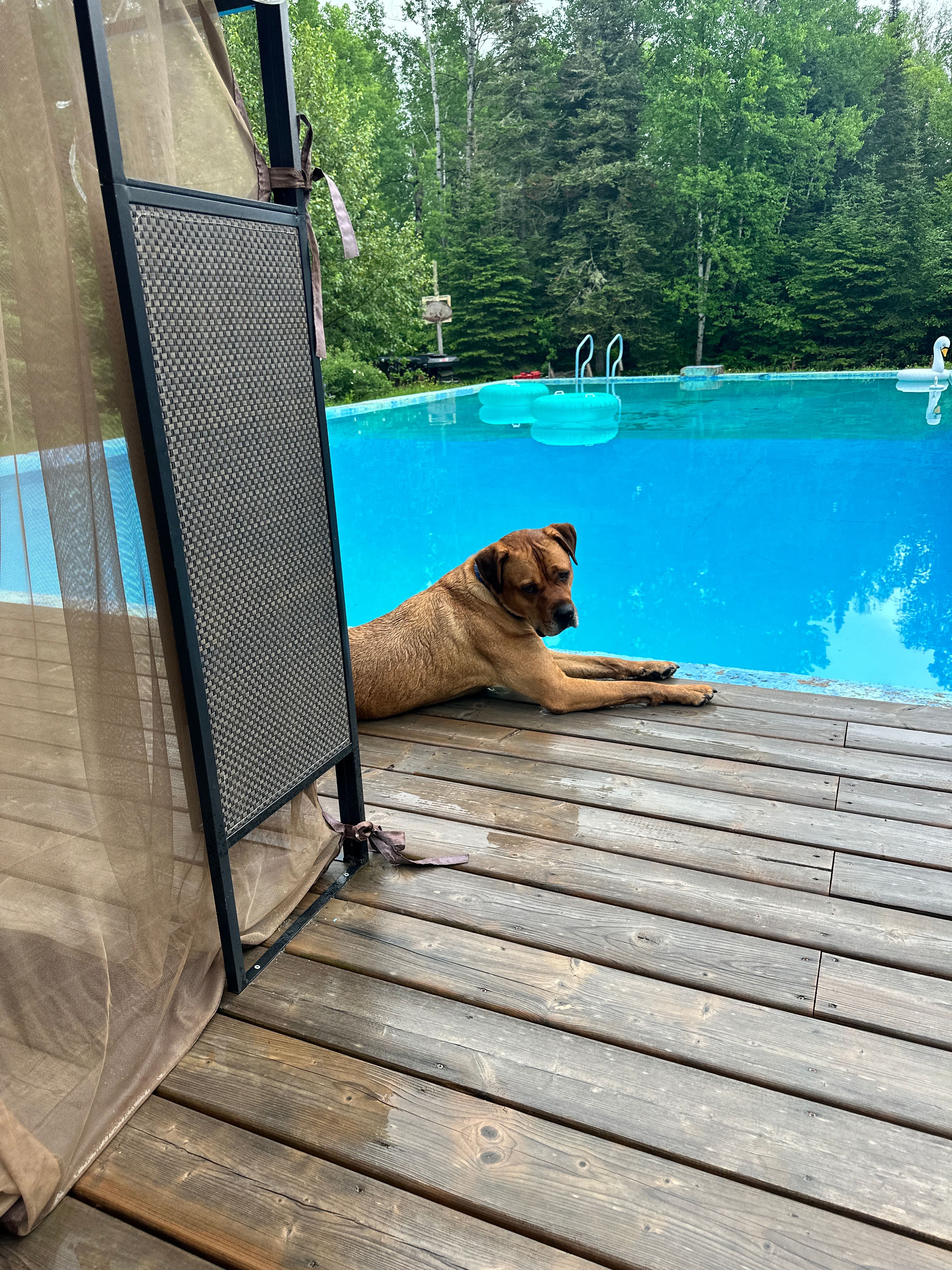 Peaceful Poolside Bliss!