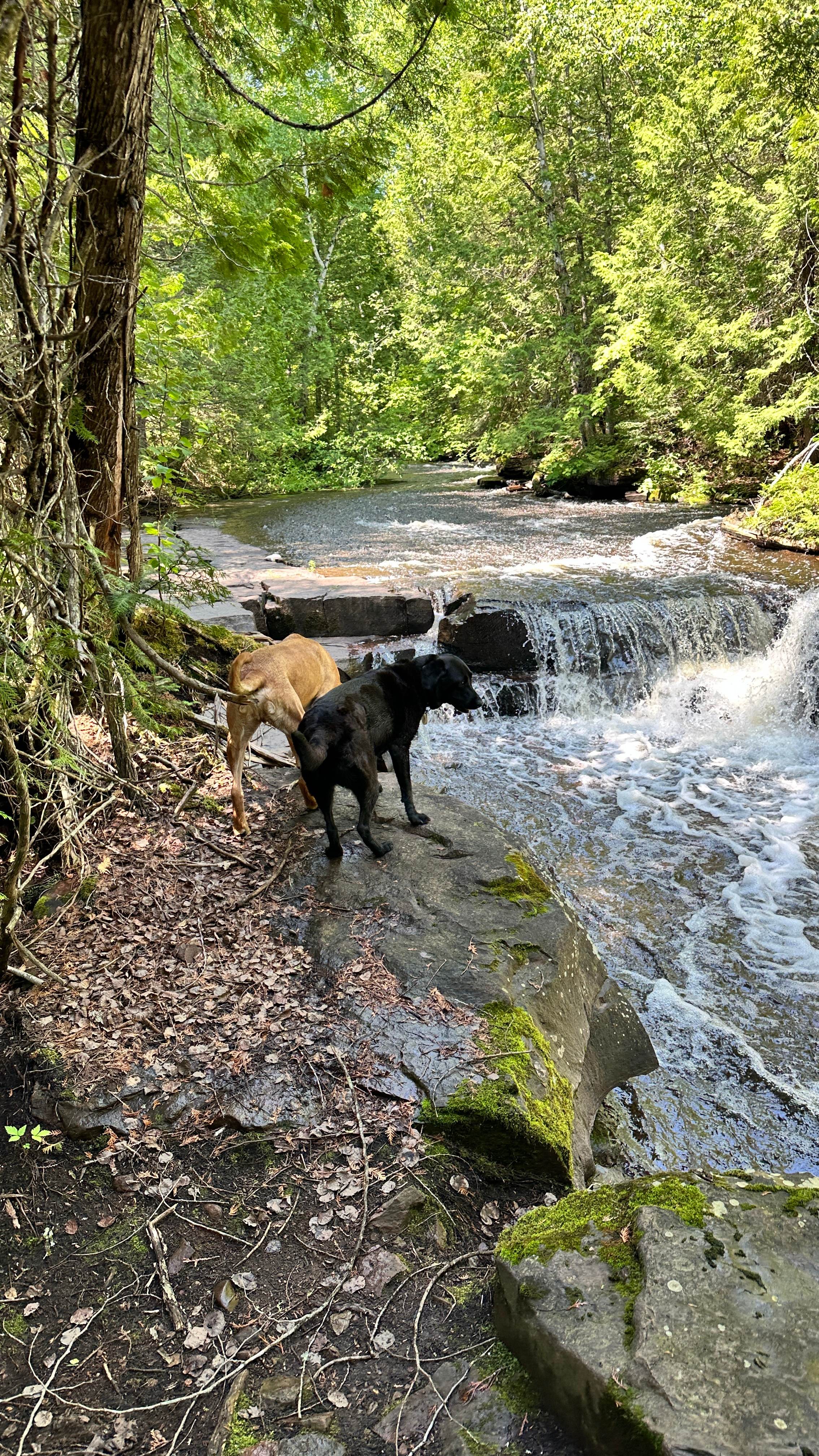 Hiking trail at SGPP