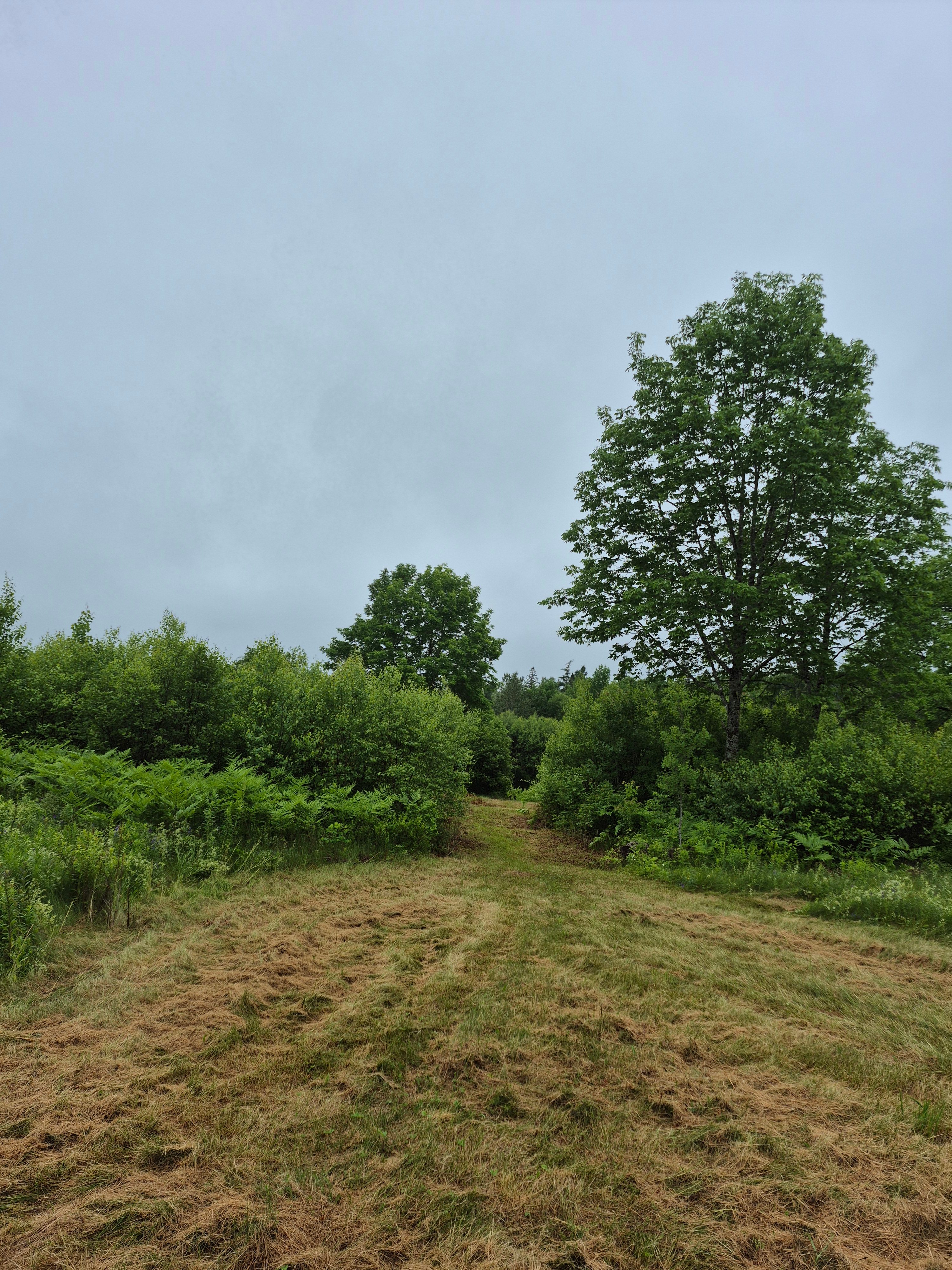 Wickham Nature Retreat