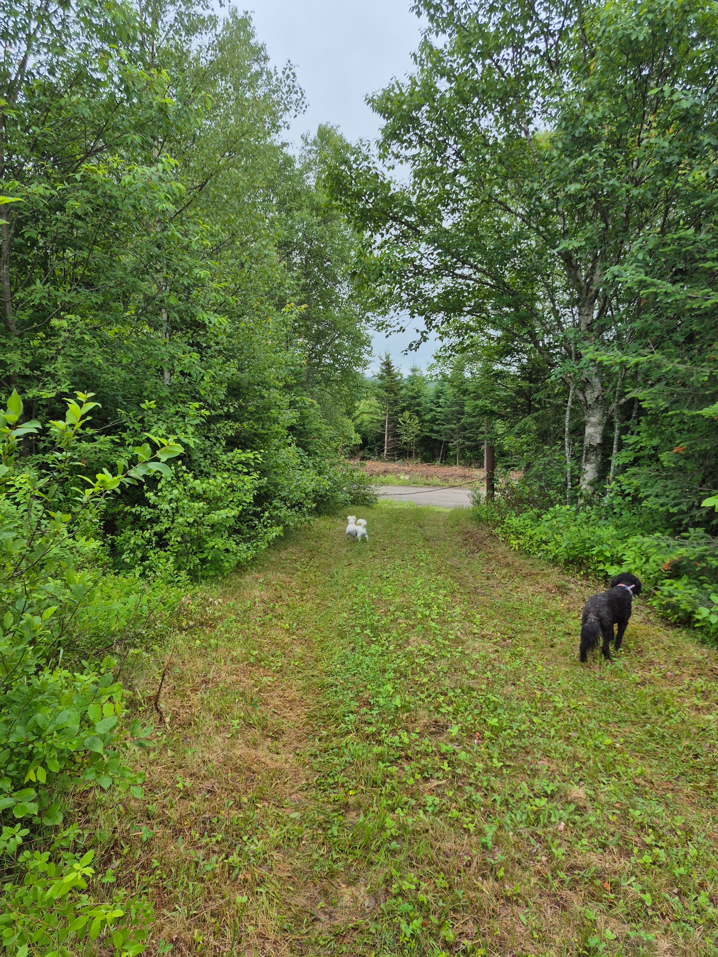 Wickham Nature Retreat