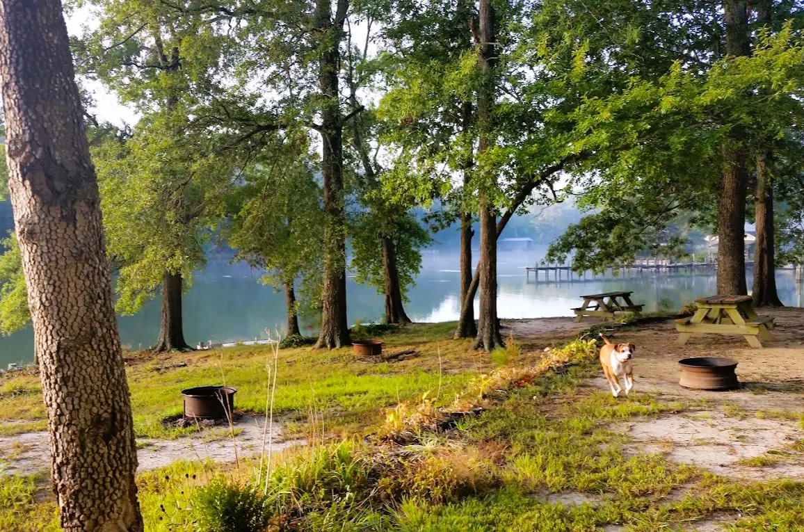 Chesapeake Bay Camp - Resort