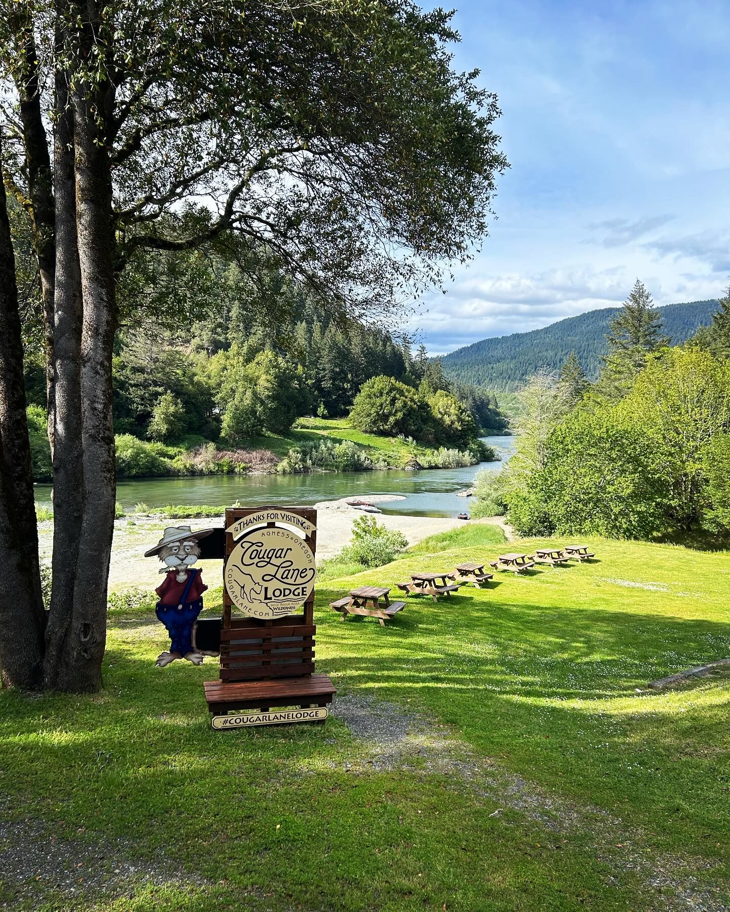 Cougar Lane Lodge & RV