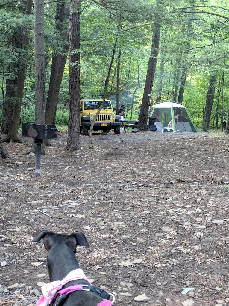 Blue Mountain Campground