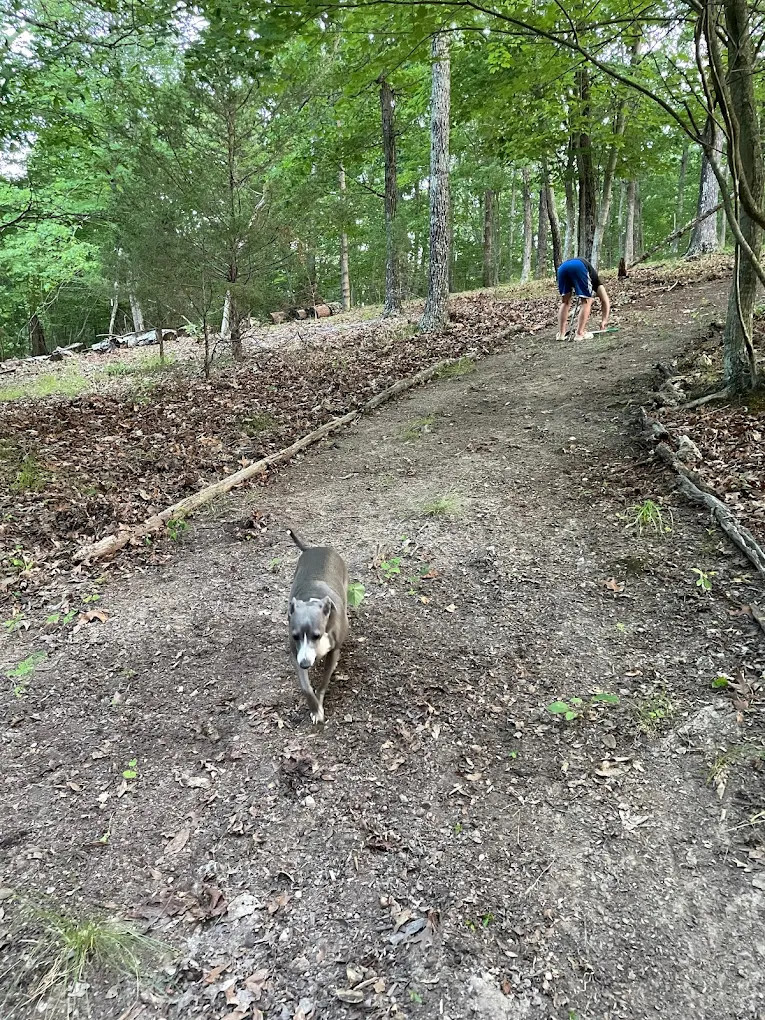 Low Valley Campground, LLC