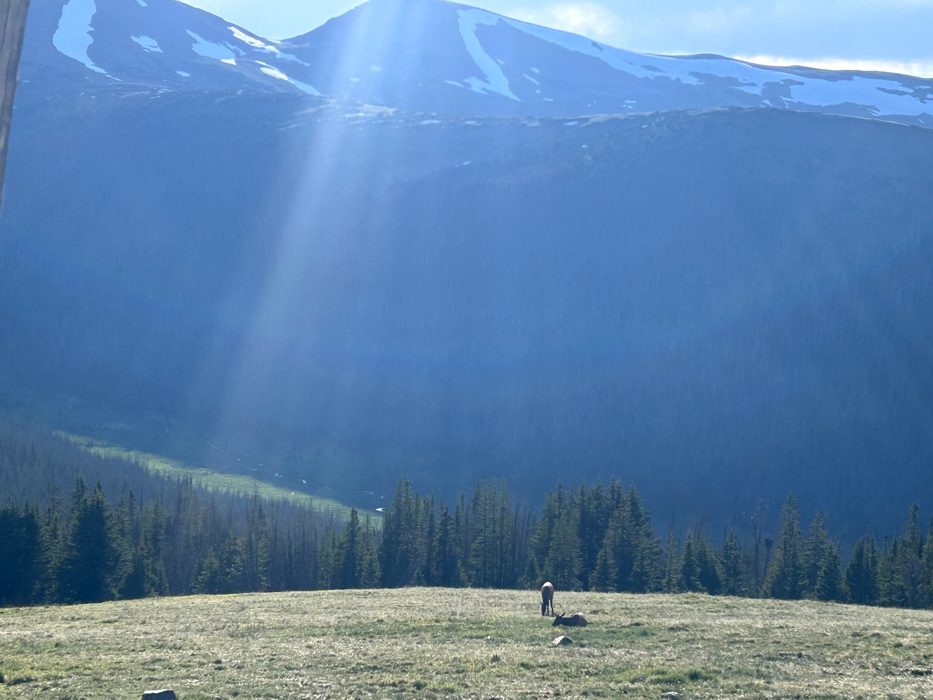 Granby Mountain Horse Ranch
