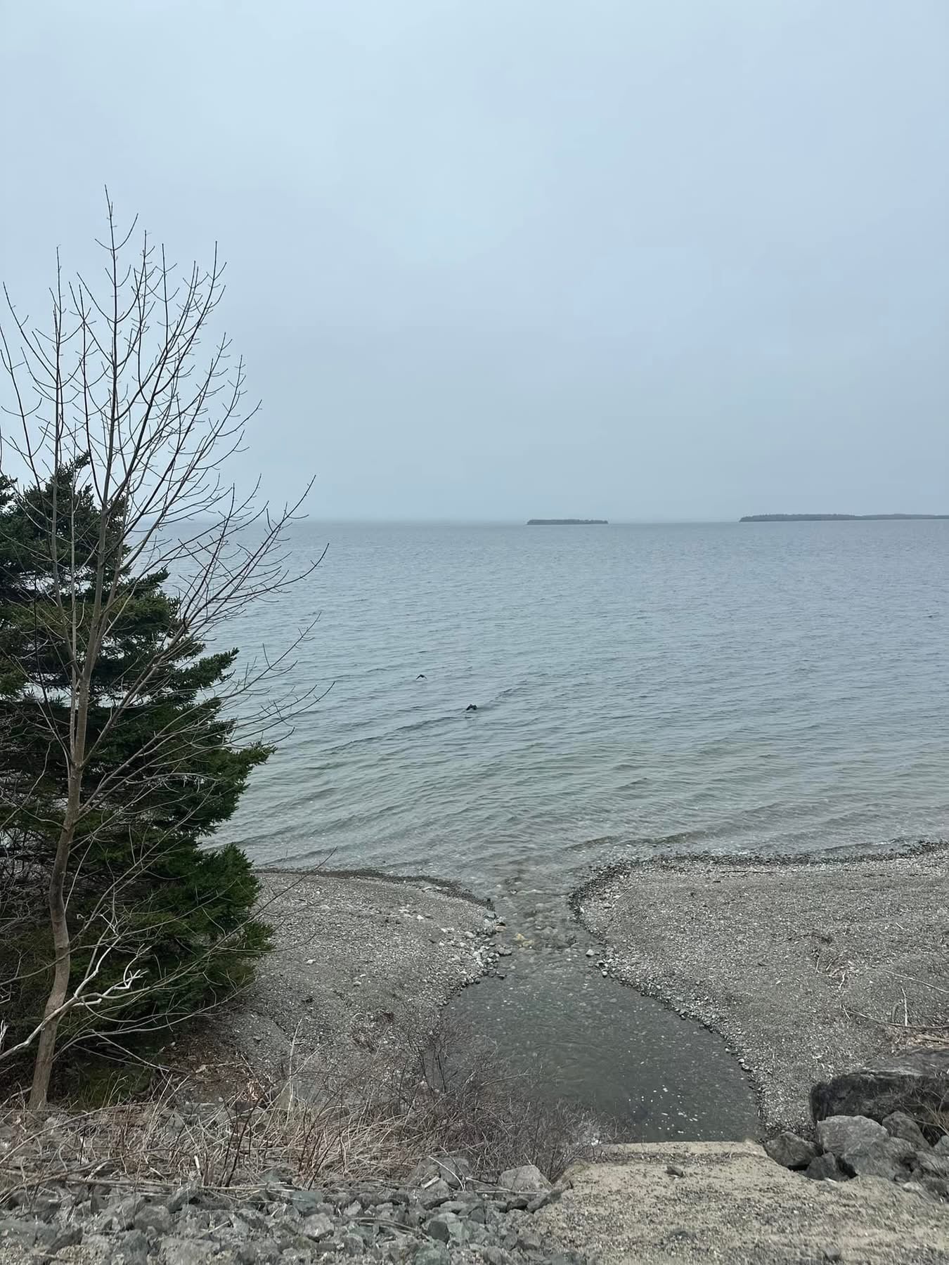 Bunkies on Bras d'Or