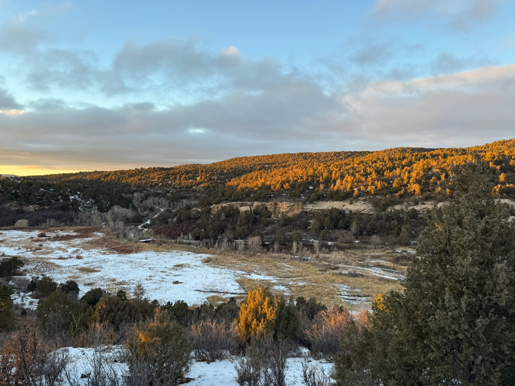 Dolores Canyon Camping