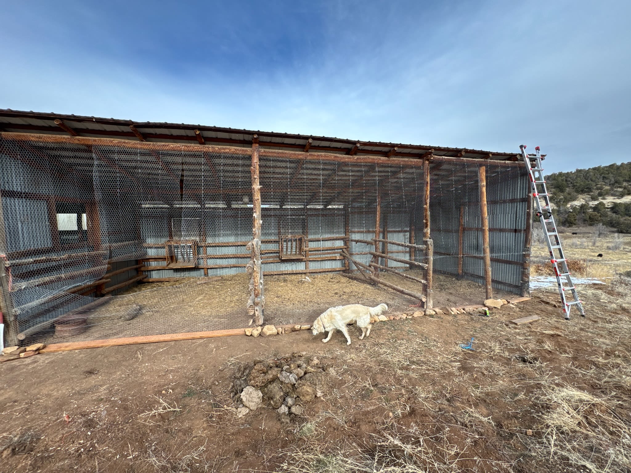 Dolores Canyon Camping