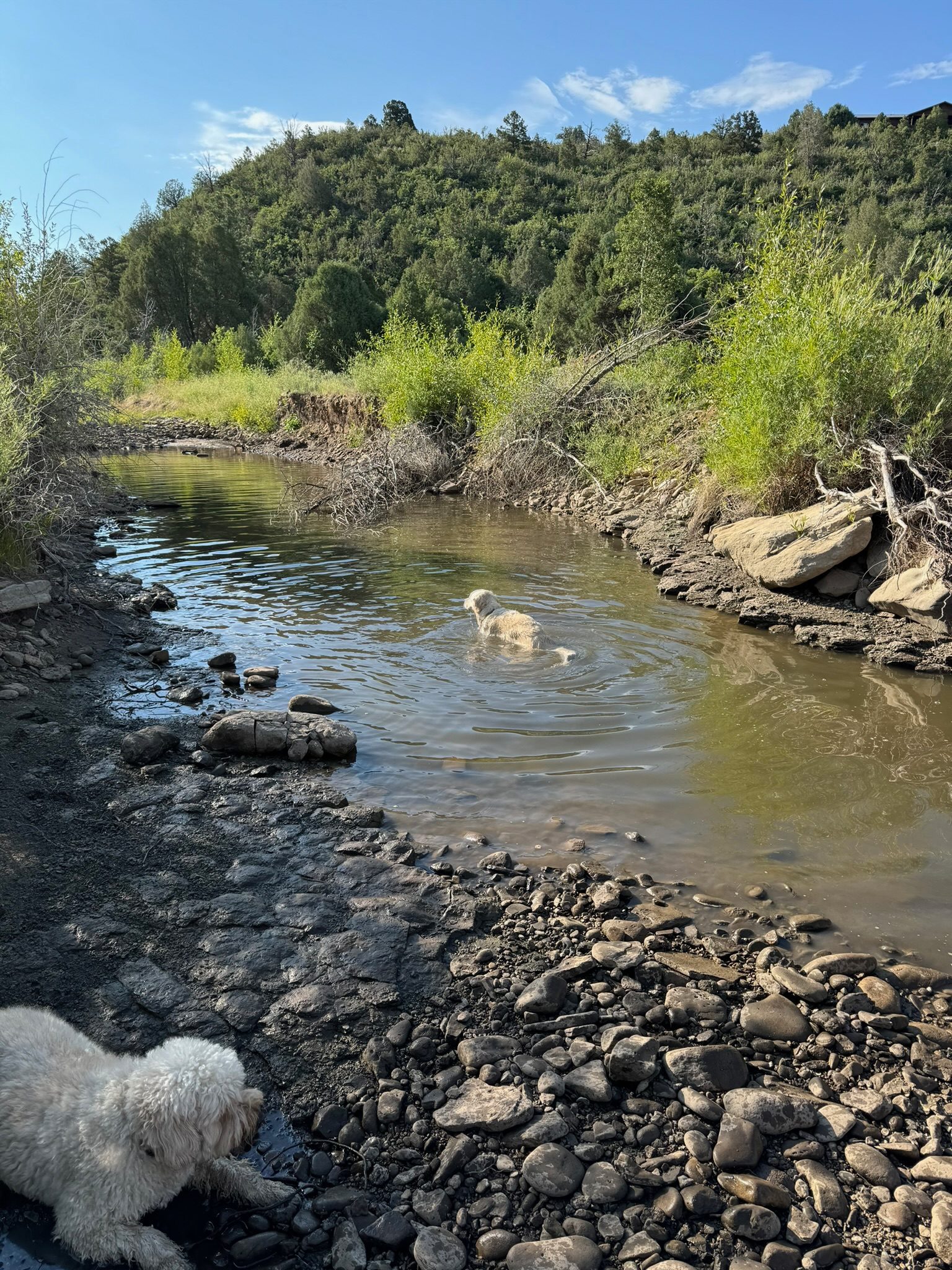 Dolores Canyon Camping
