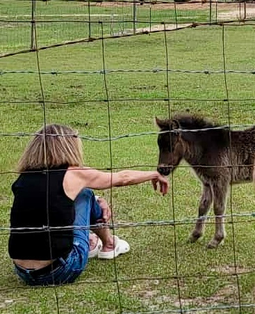 Piney Hills Campground