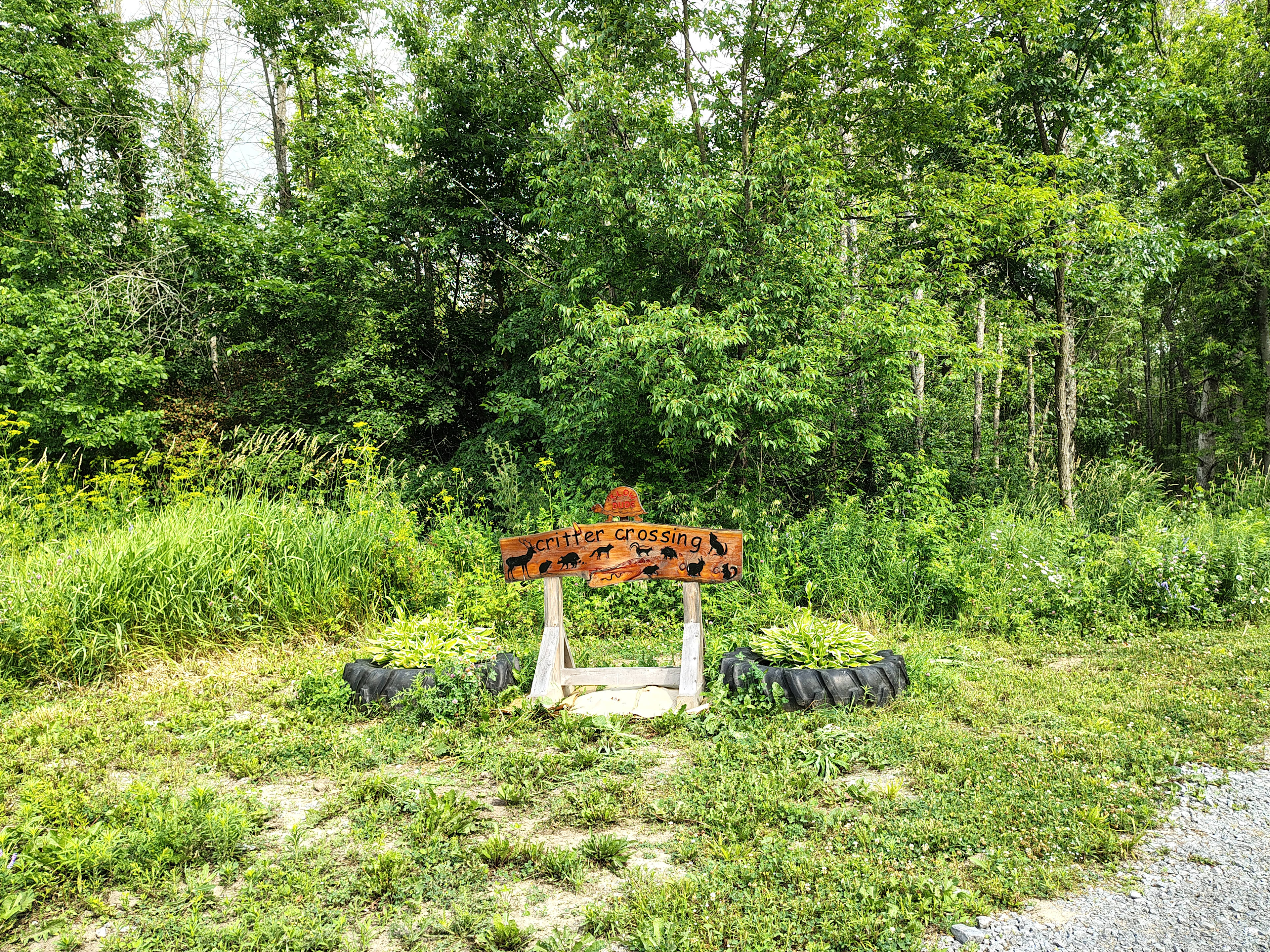 Forest Bunkie & Yogazebo