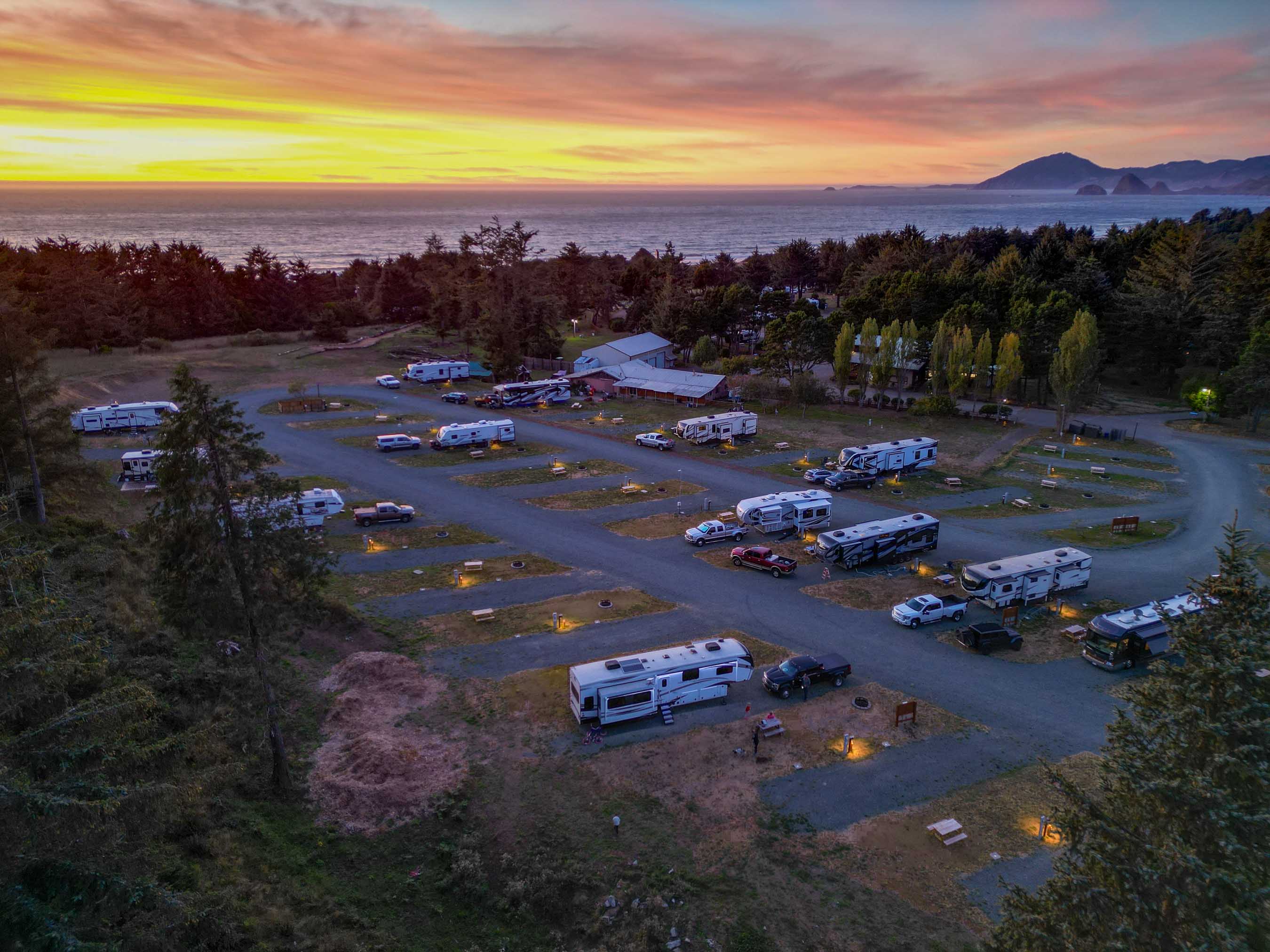 Honey Bear by the Sea