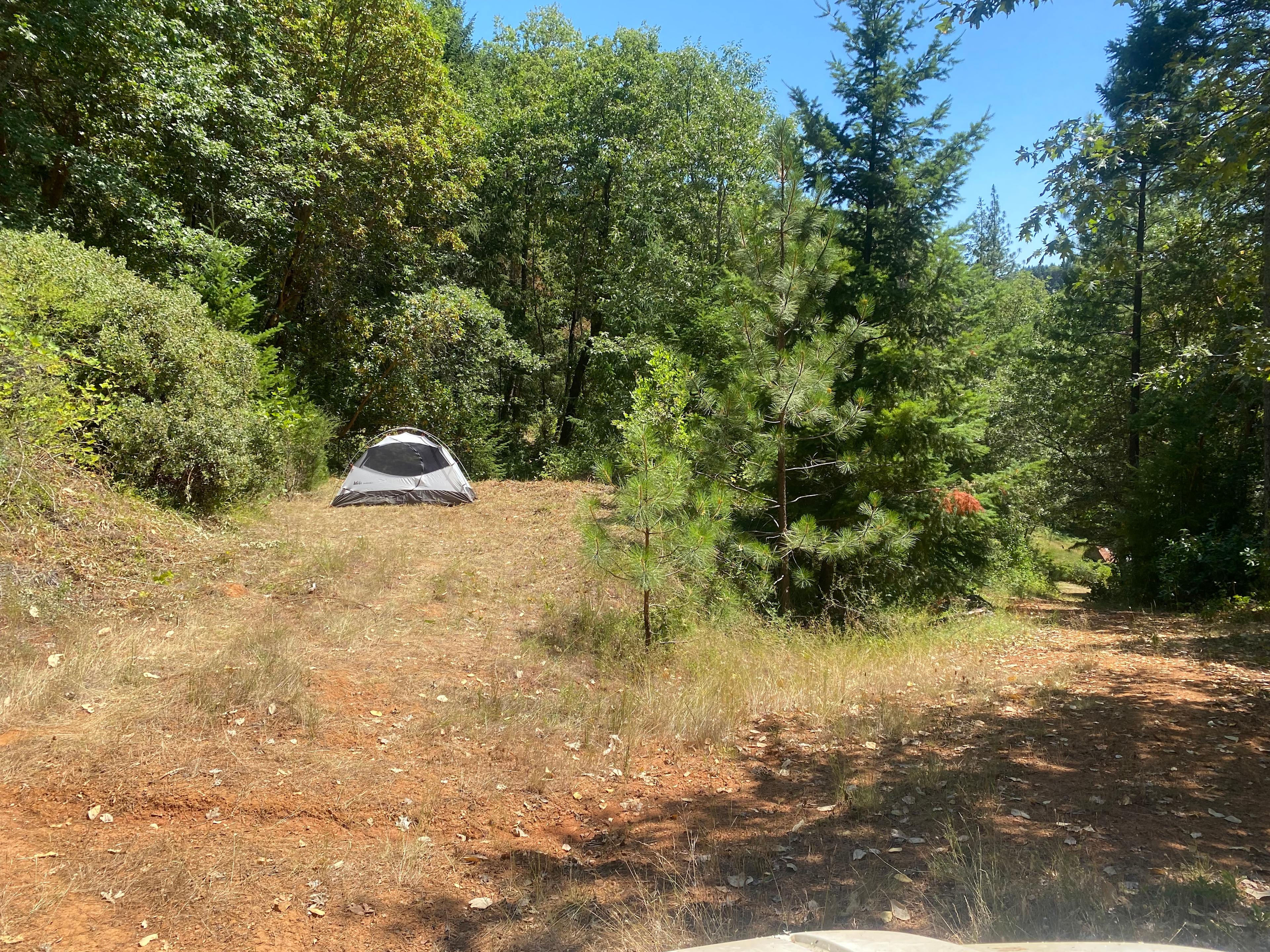 Madrone’s Midway Landing