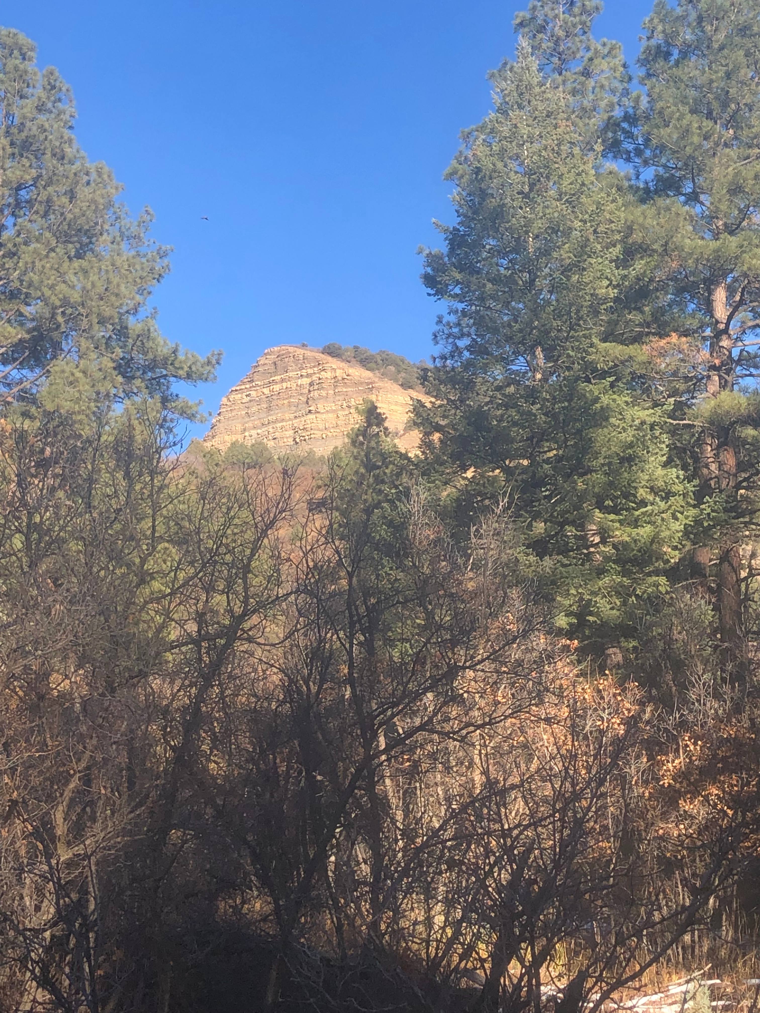 Pagosa Qi Camps