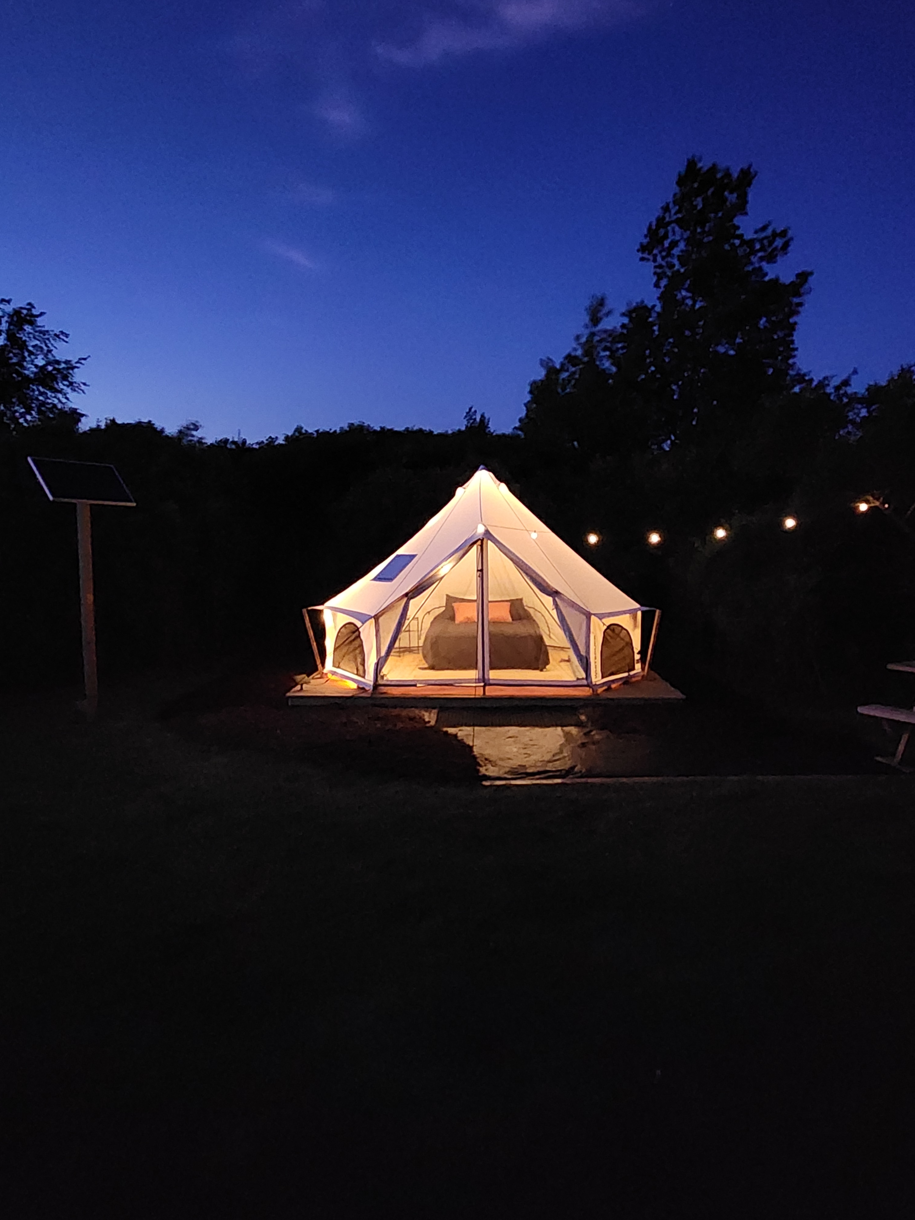Overgrown Ridge Camp By Letchworth