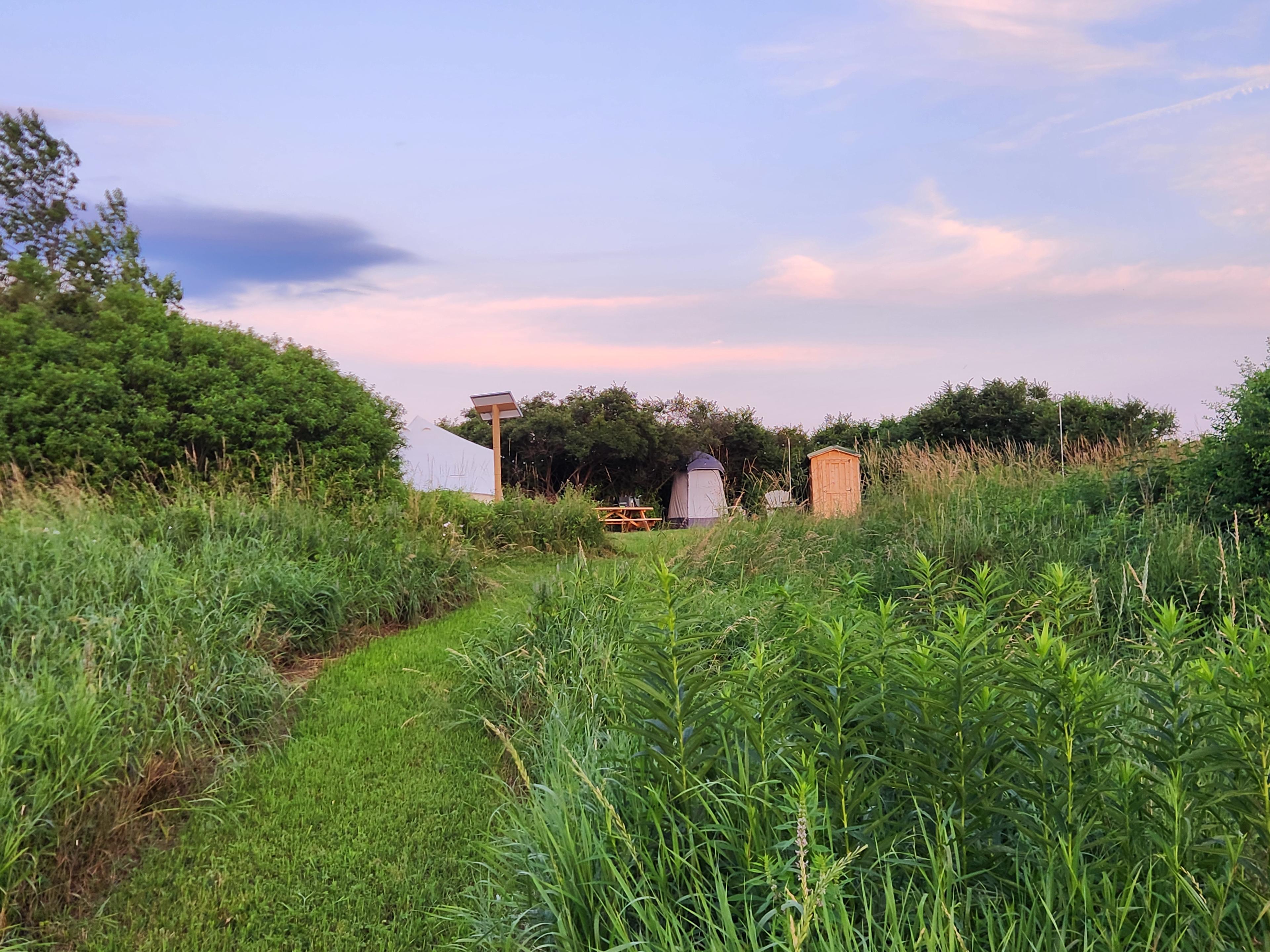 Overgrown Ridge Camp By Letchworth