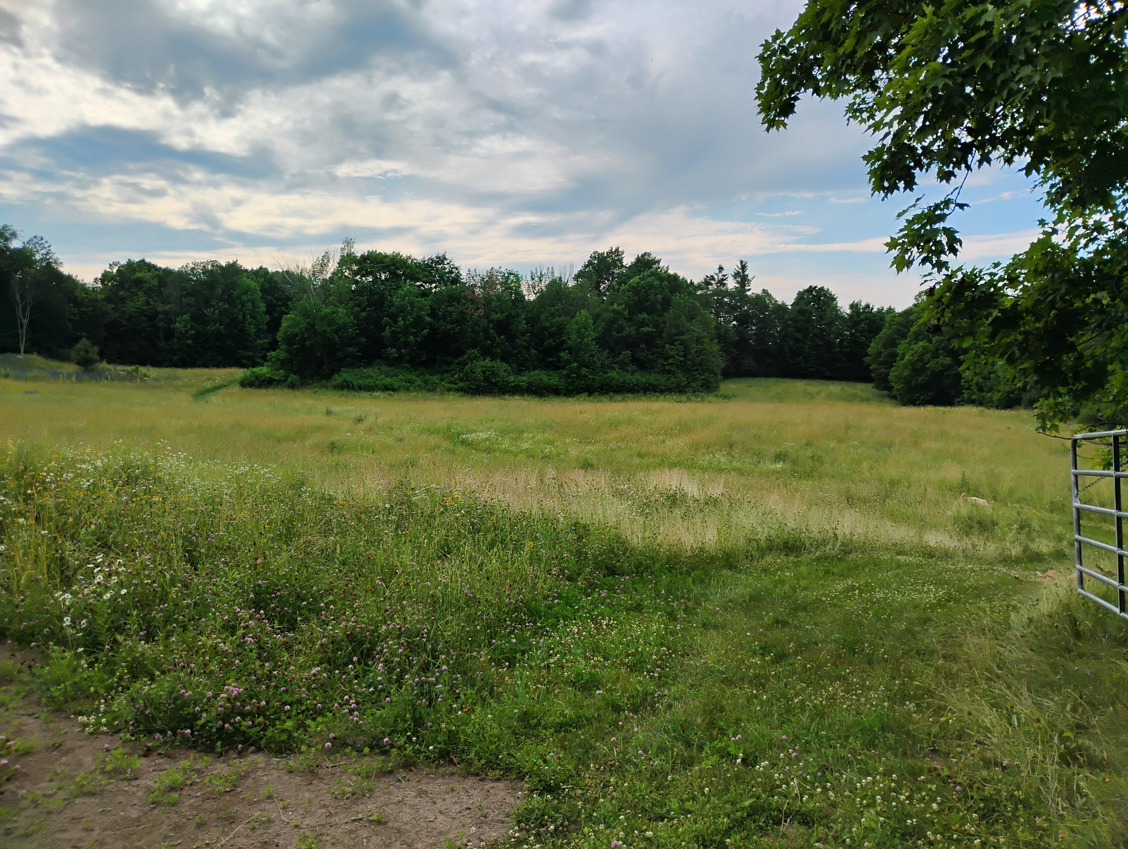 Little Fallbrook Farm