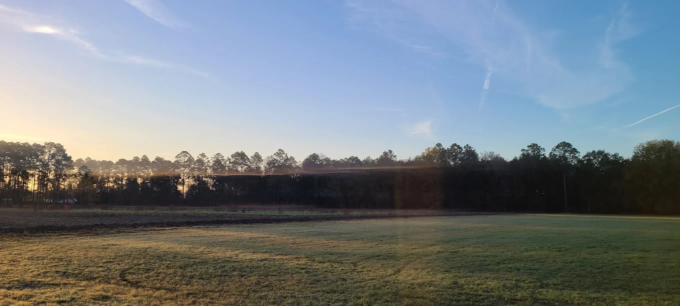 Twin Oaks Park