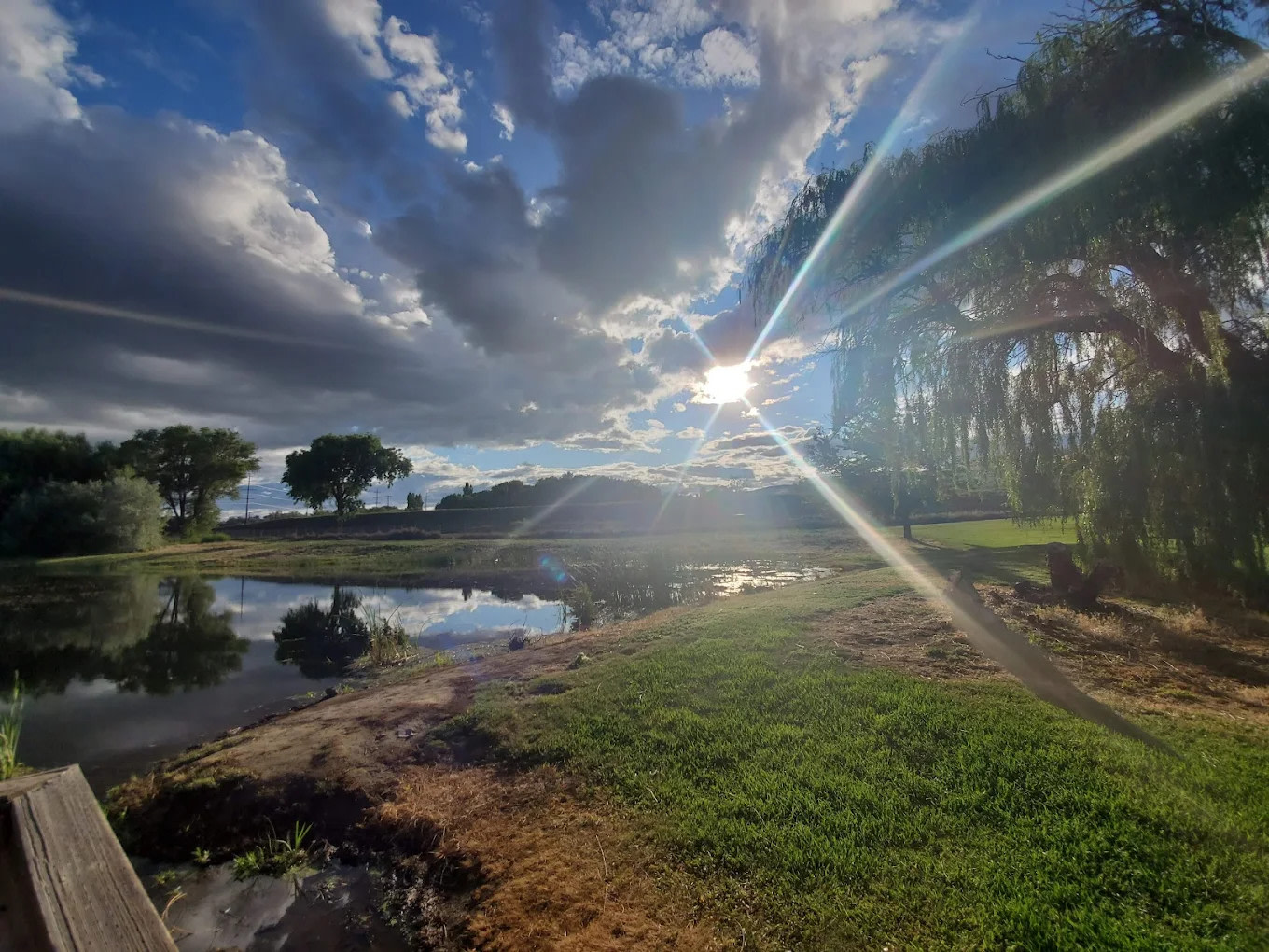 Oasis RV Park & Golf Course