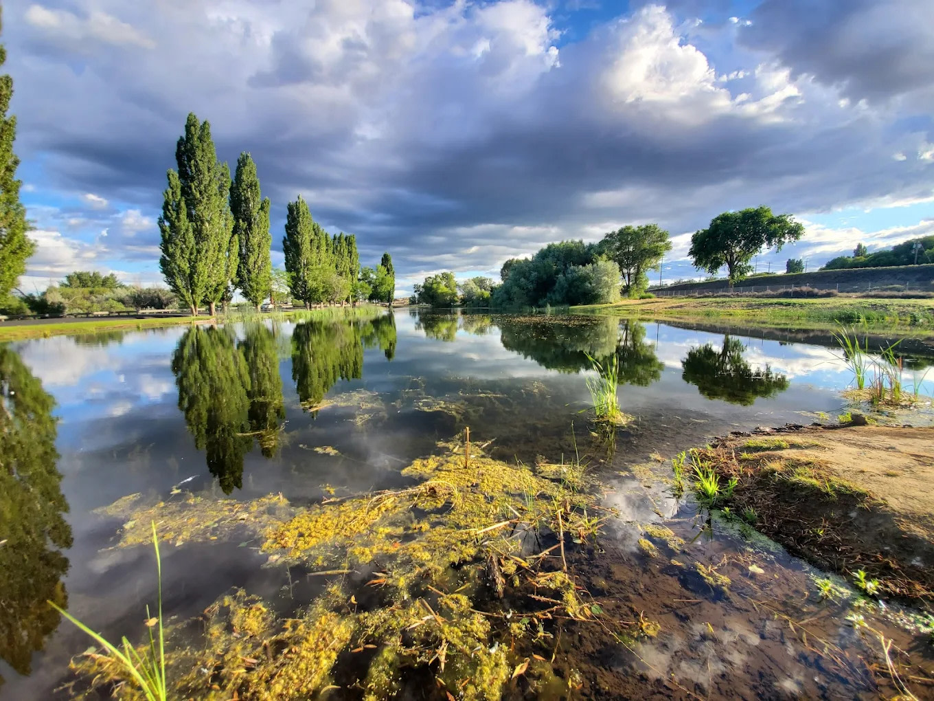 Oasis RV Park & Golf Course