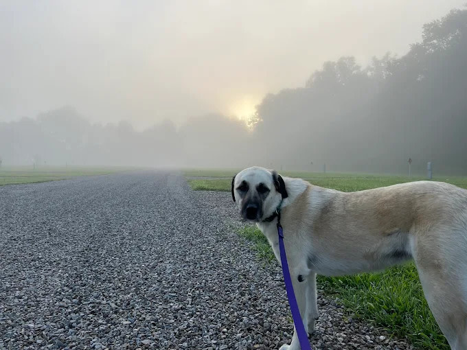 Away A Day RV Campground
