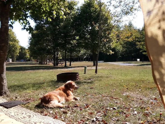 Main Brothers Campground