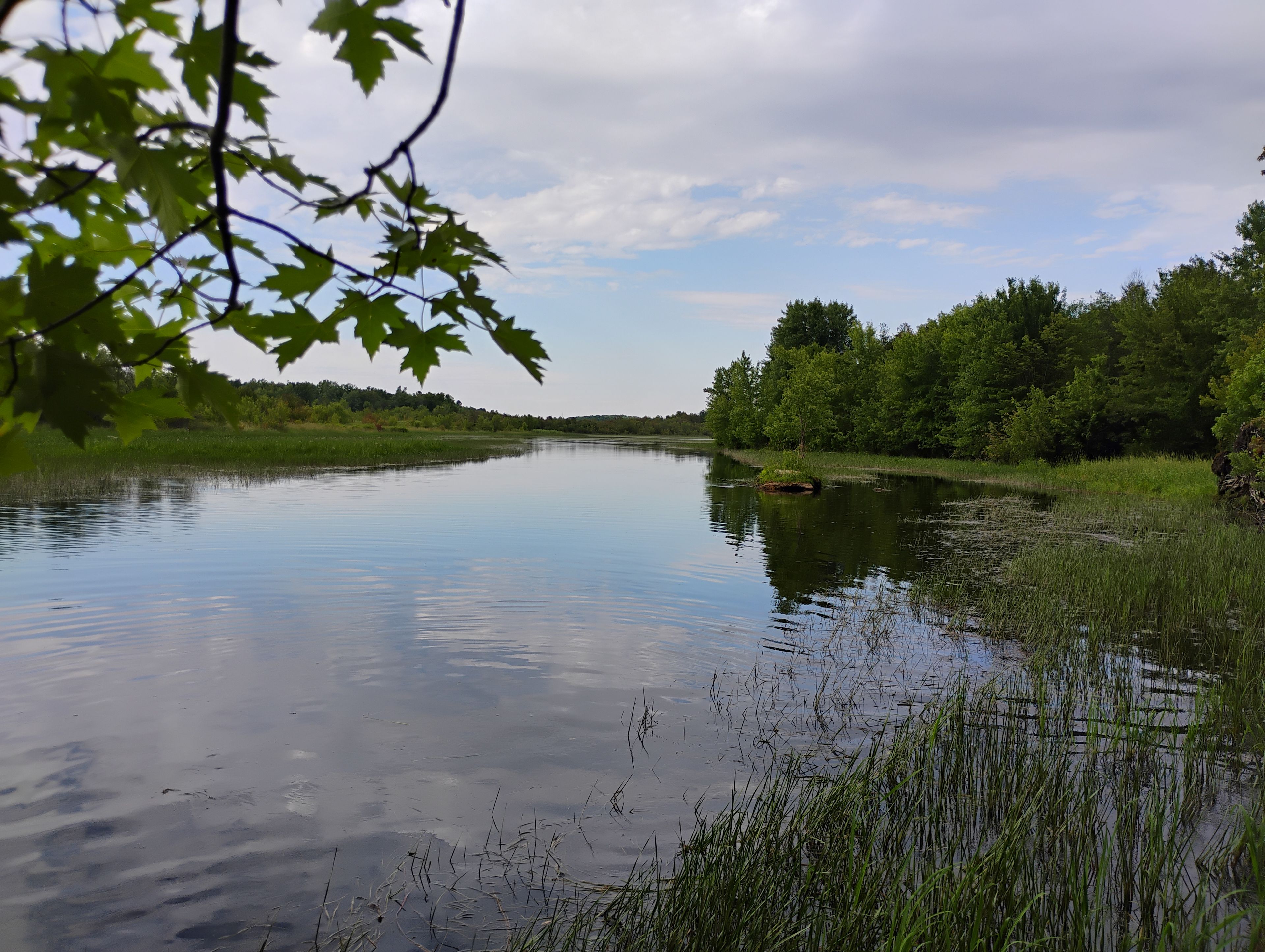Little Fallbrook Farm