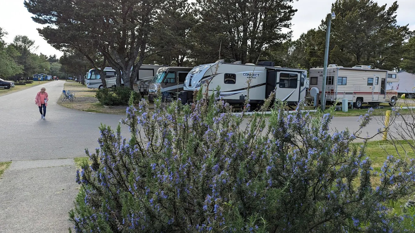 American Sunset RV & Tent Resort