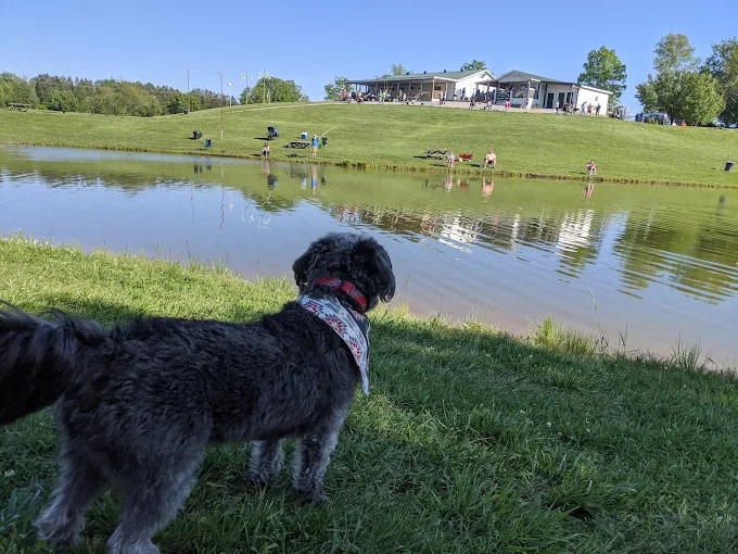 Twin Lakes Catfish Farm and Campground