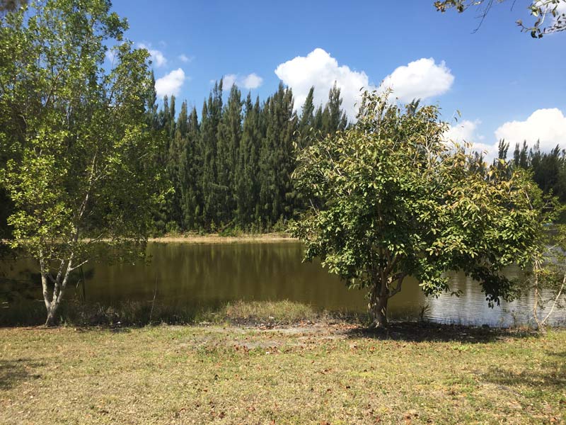Markham Park Campground