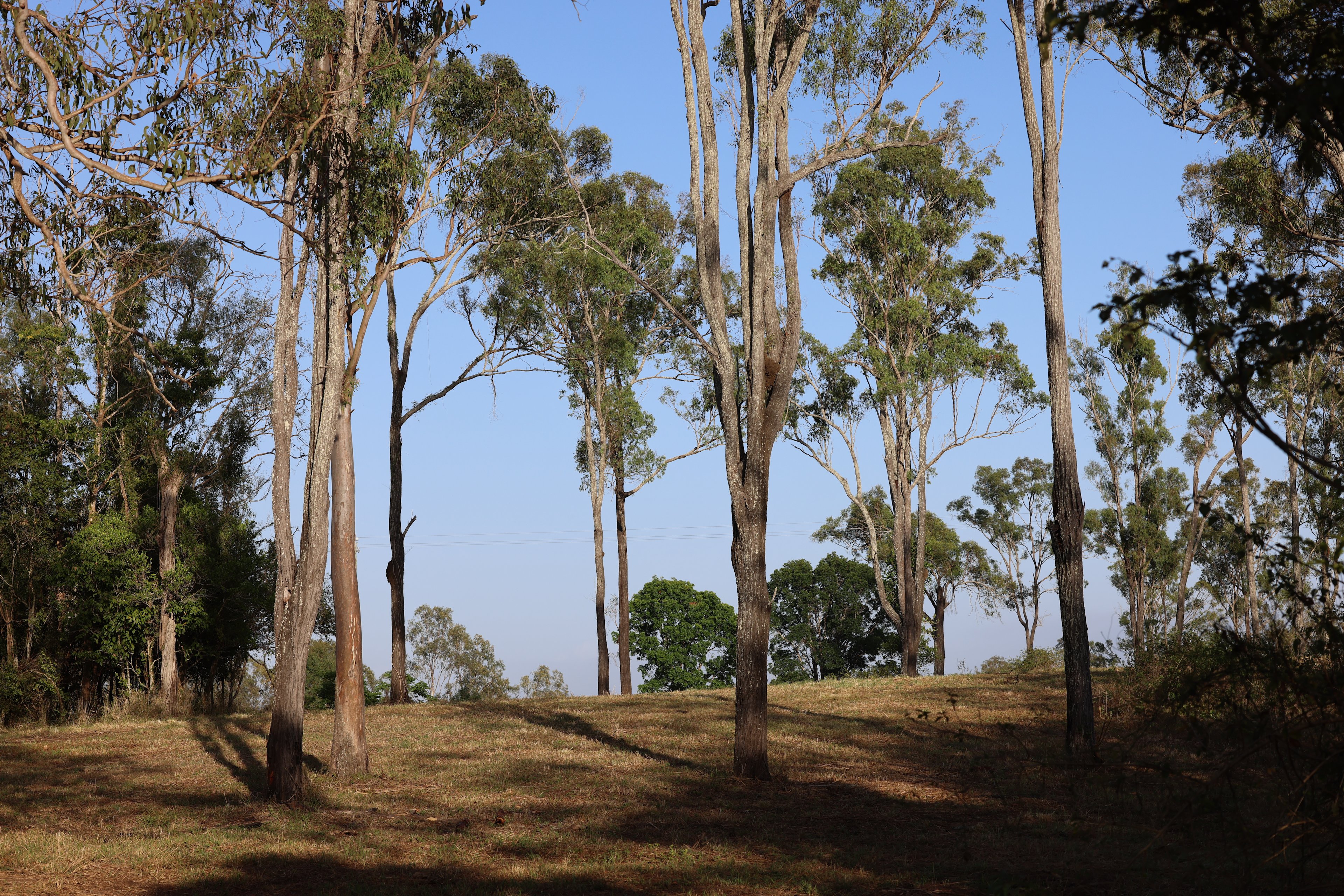 Burnett River Homestead
