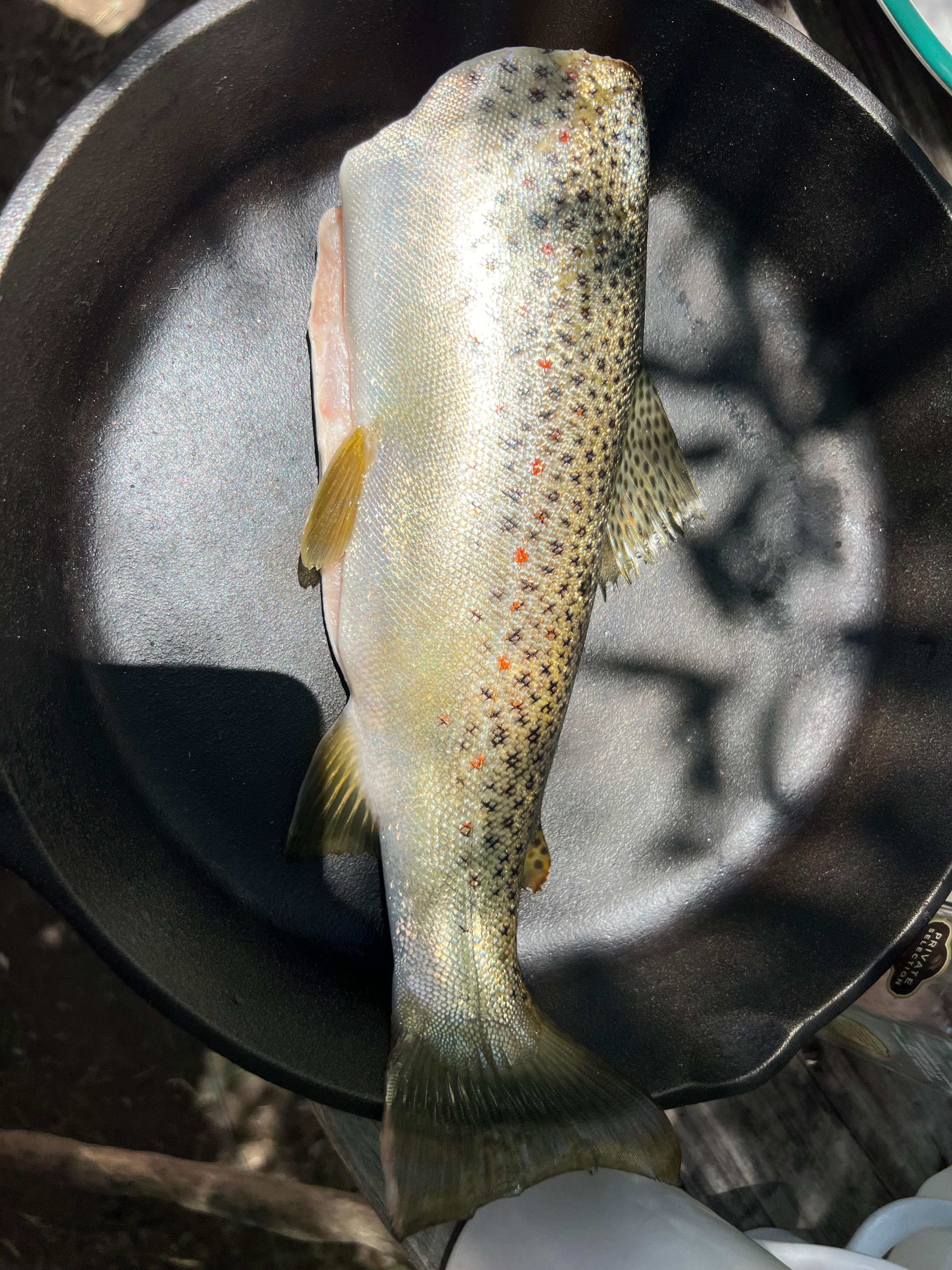 Colorado River Camp Has It All!