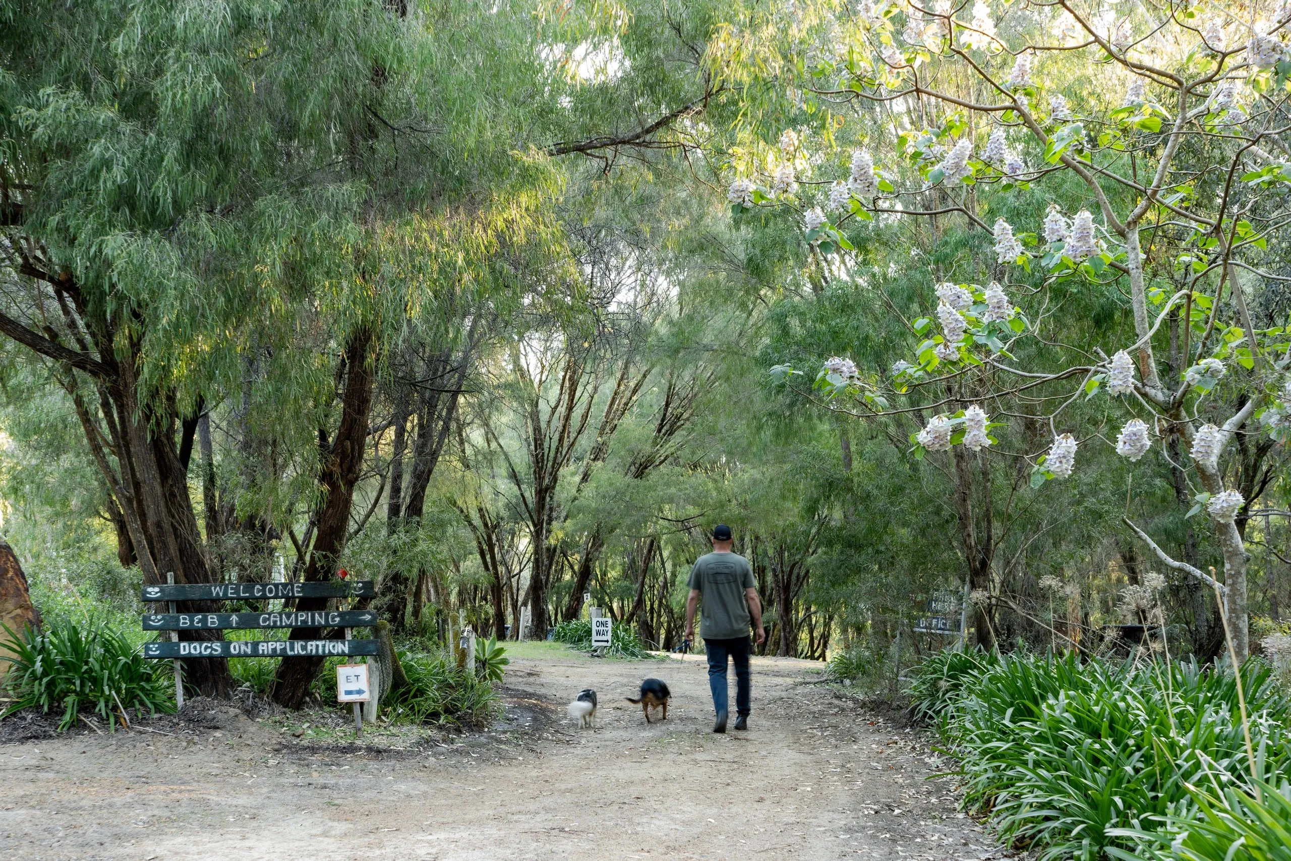 Northcliffe Holiday Park