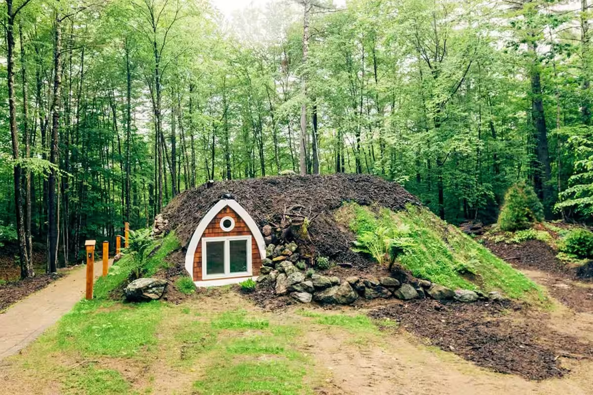 Fern Hollow