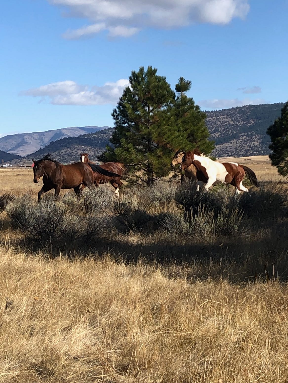 Lost Arrow Ranch Retreat