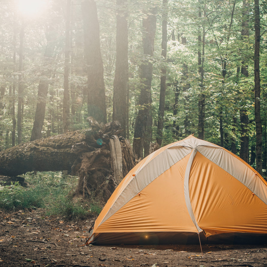 Mulberry River Outdoor Adventures