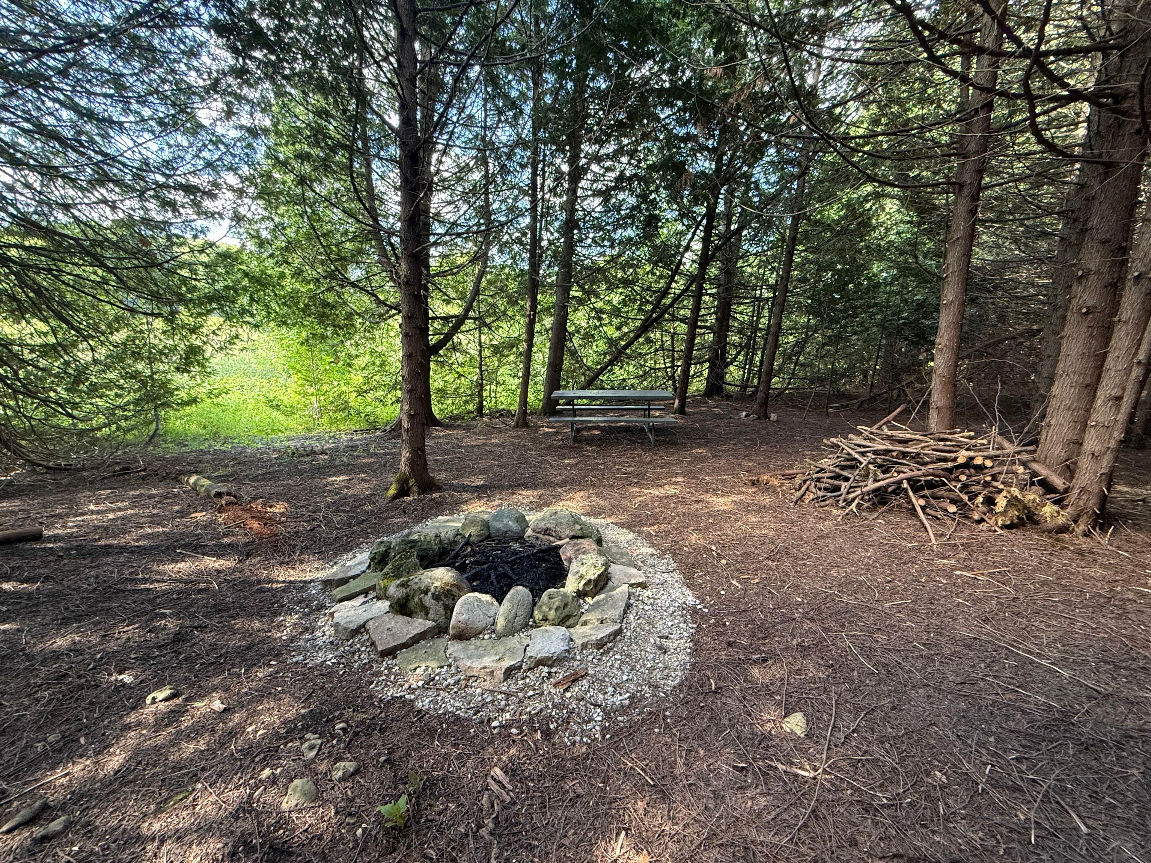 Cedar Banks