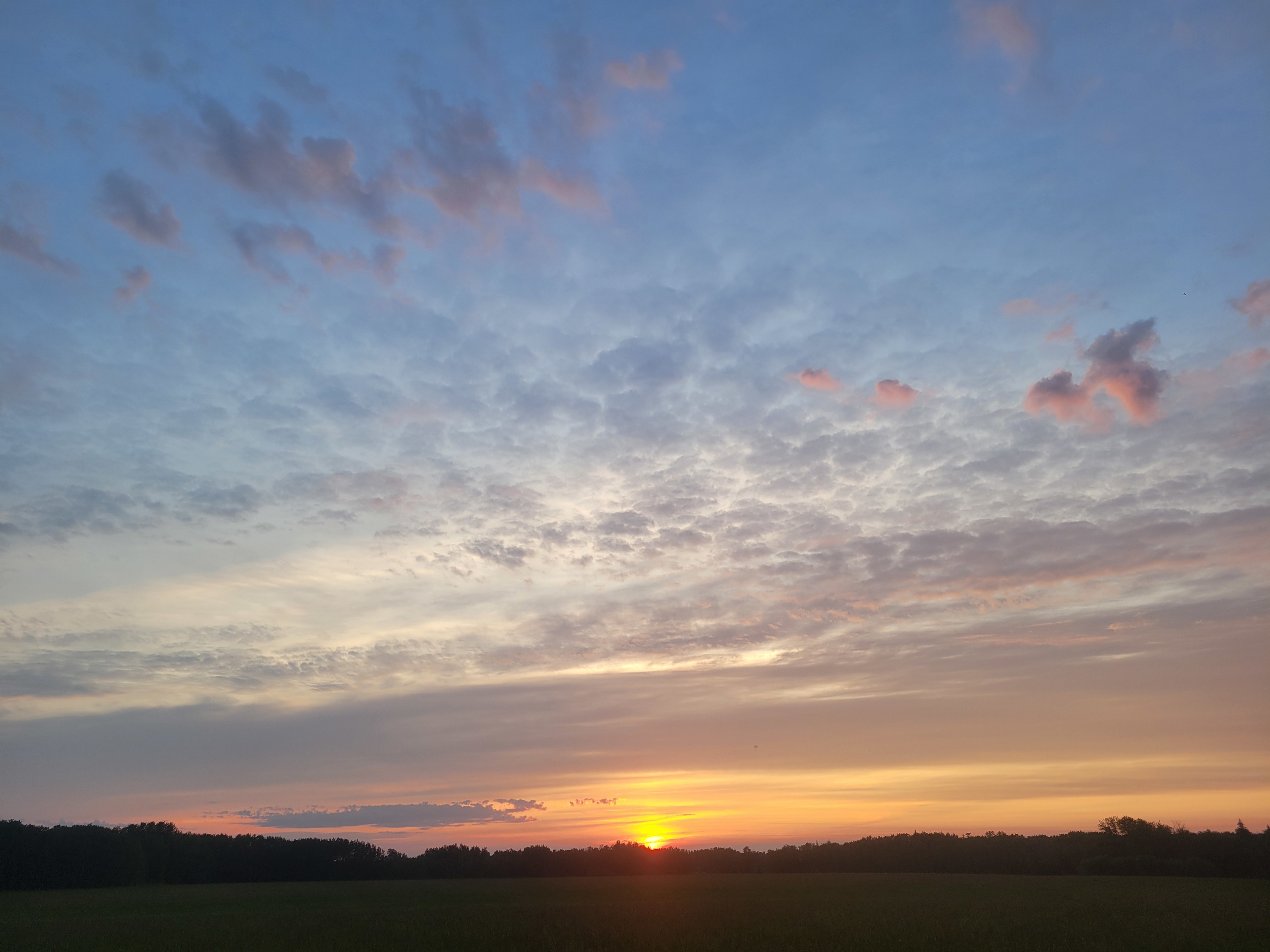 Sturgeon River Ranch