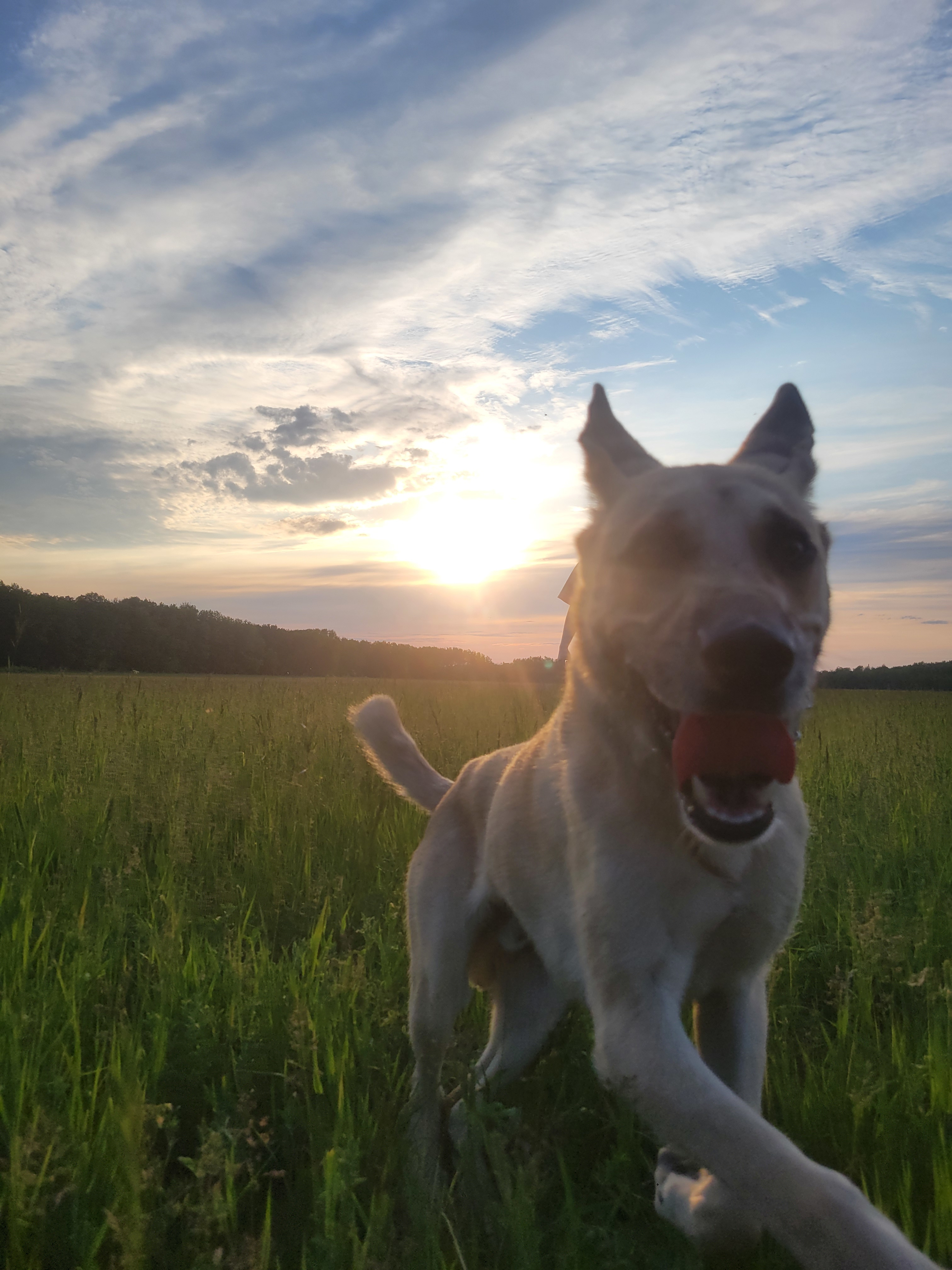 Sturgeon River Ranch