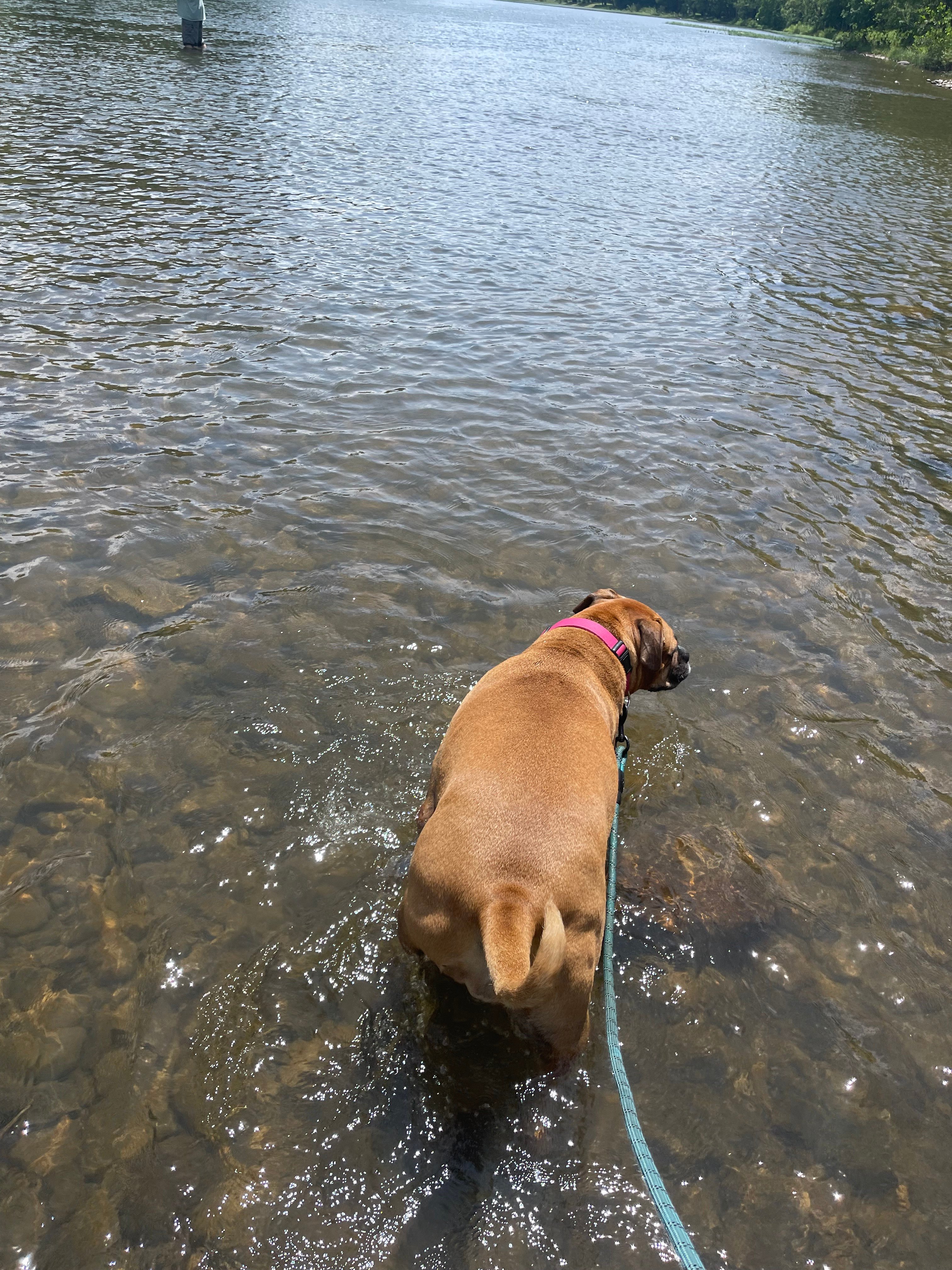 River Trail Hollow