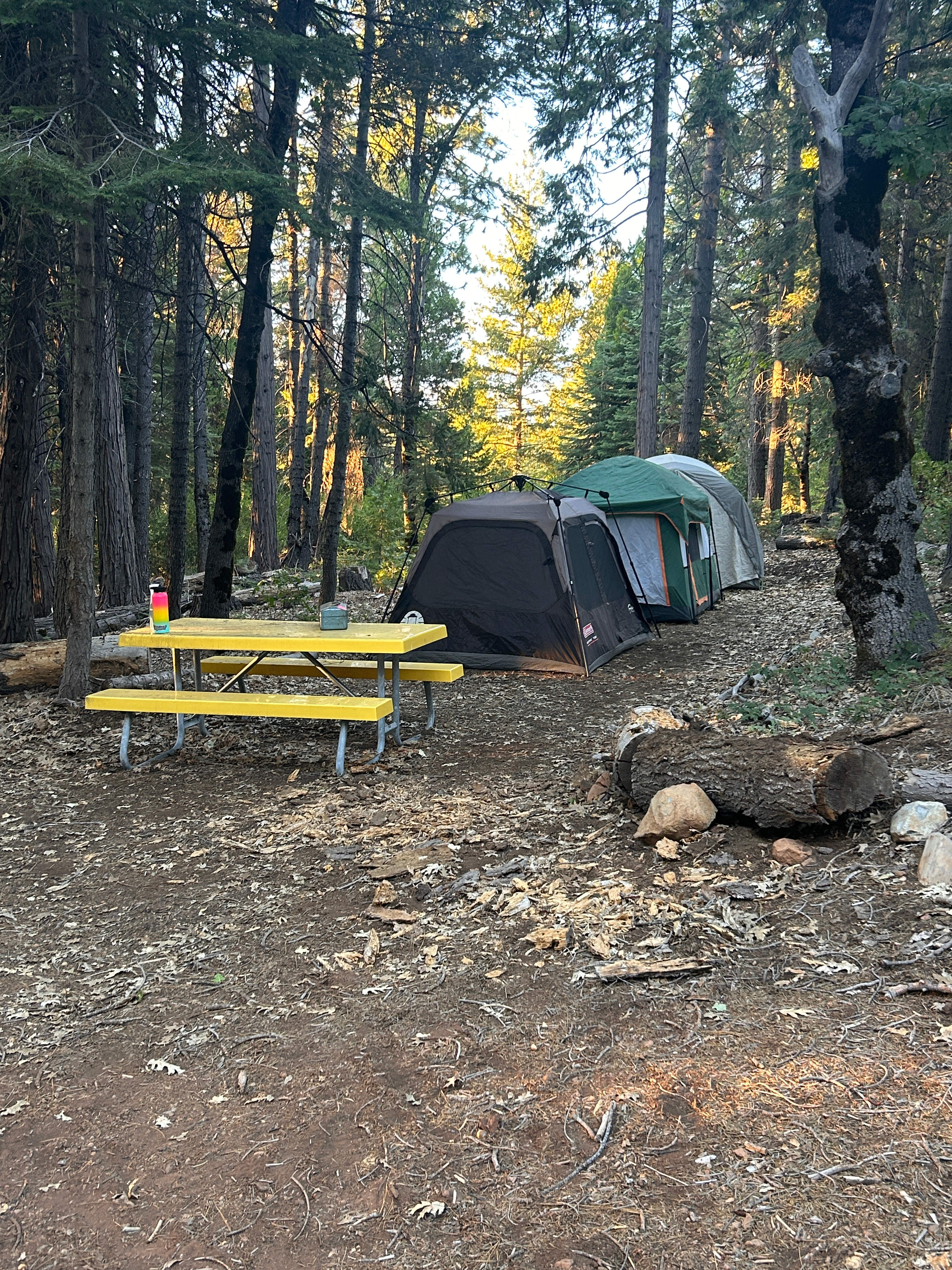 Family and friends can set up tents in a number of nearby communal and individual tent sites. 